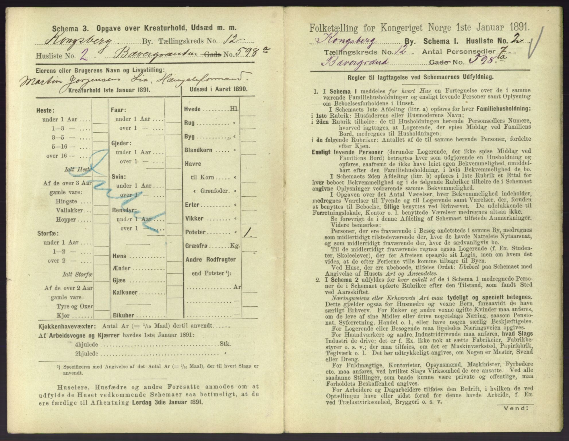 RA, 1891 census for 0604 Kongsberg, 1891, p. 1507