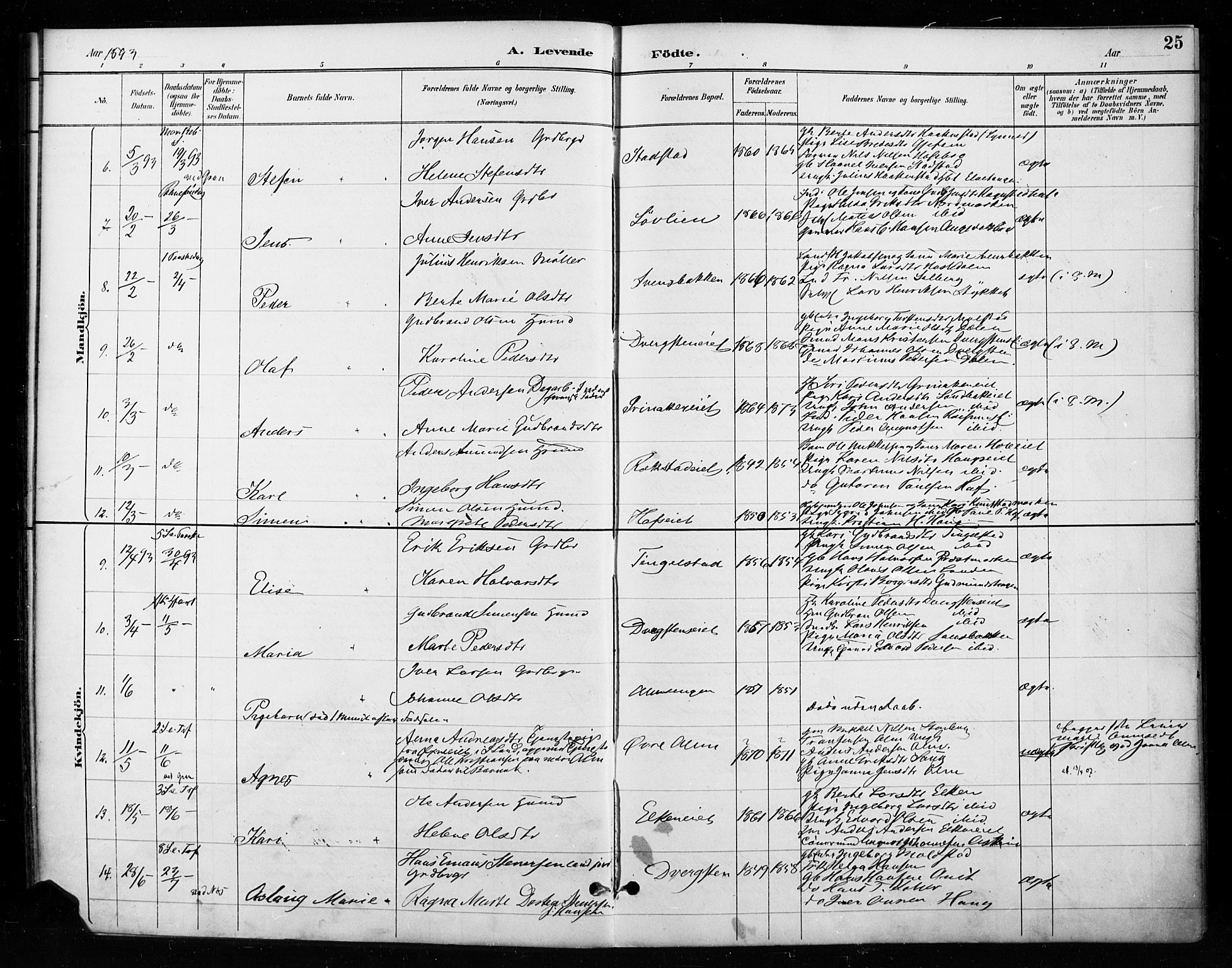 Gran prestekontor, AV/SAH-PREST-112/H/Ha/Haa/L0018: Parish register (official) no. 18, 1889-1899, p. 25