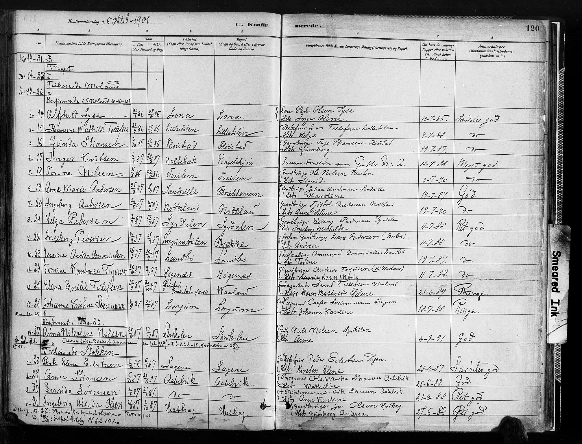 Austre Moland sokneprestkontor, SAK/1111-0001/F/Fa/Faa/L0010: Parish register (official) no. A 10, 1880-1904, p. 120