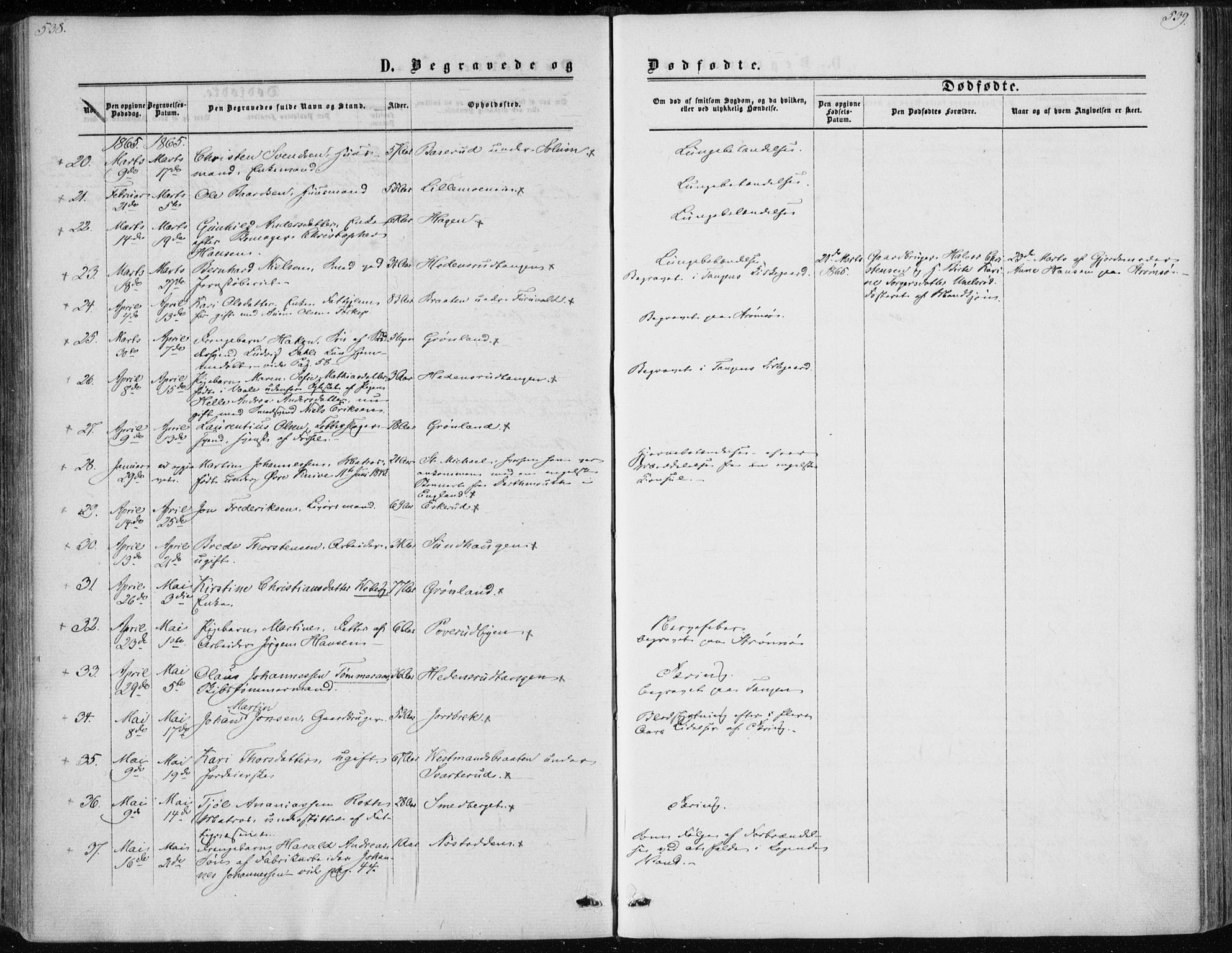 Skoger kirkebøker, AV/SAKO-A-59/F/Fa/L0004: Parish register (official) no. I 4, 1862-1872, p. 538-539