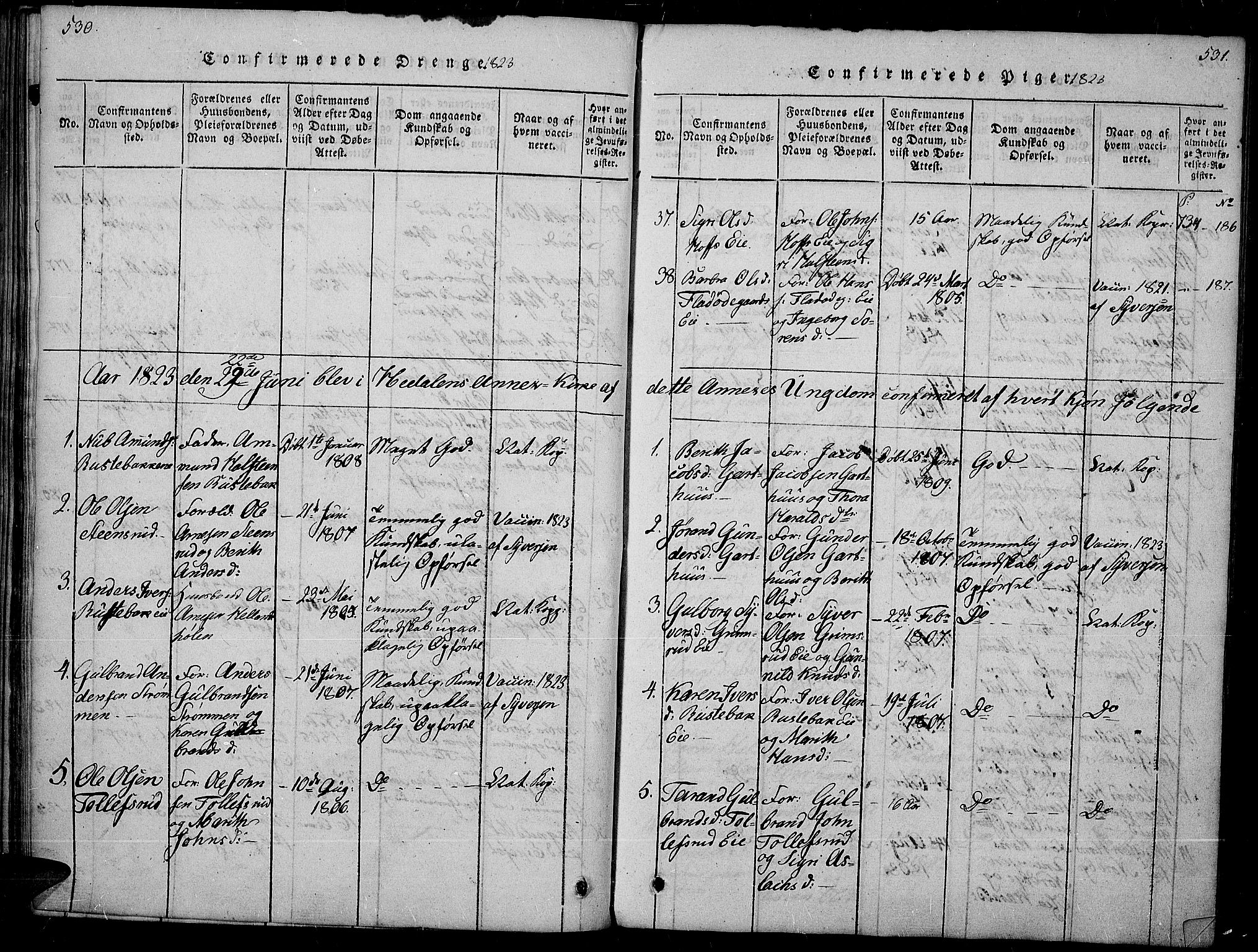 Sør-Aurdal prestekontor, SAH/PREST-128/H/Ha/Haa/L0002: Parish register (official) no. 2, 1815-1840, p. 530-531