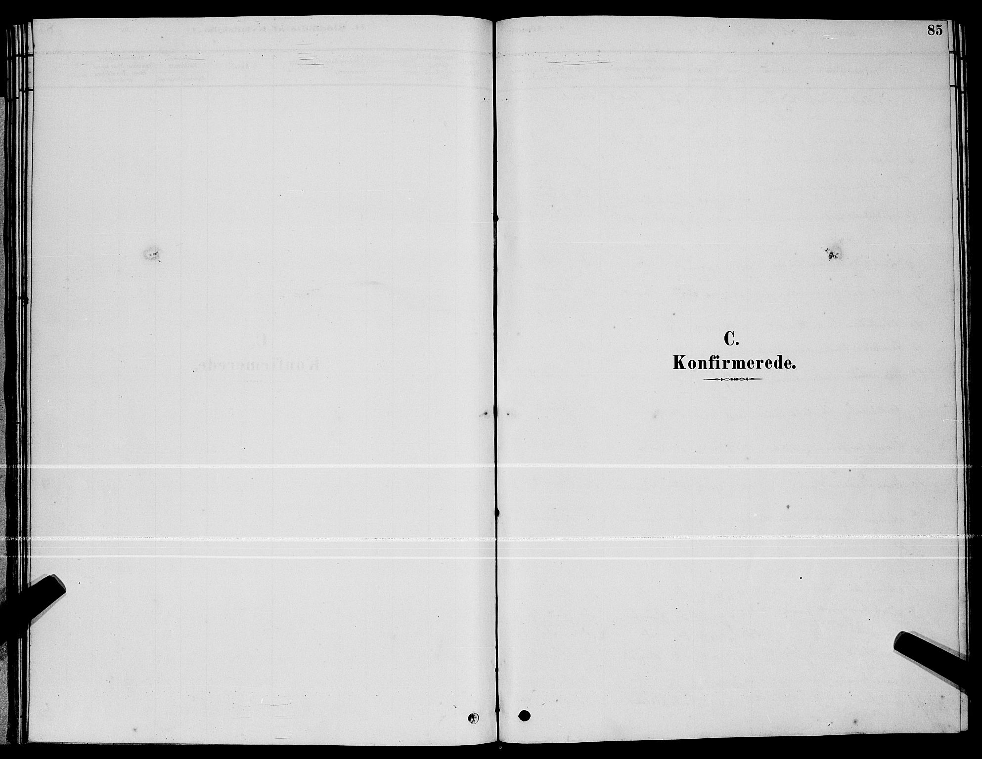 Ministerialprotokoller, klokkerbøker og fødselsregistre - Møre og Romsdal, SAT/A-1454/510/L0125: Parish register (copy) no. 510C02, 1878-1900, p. 85