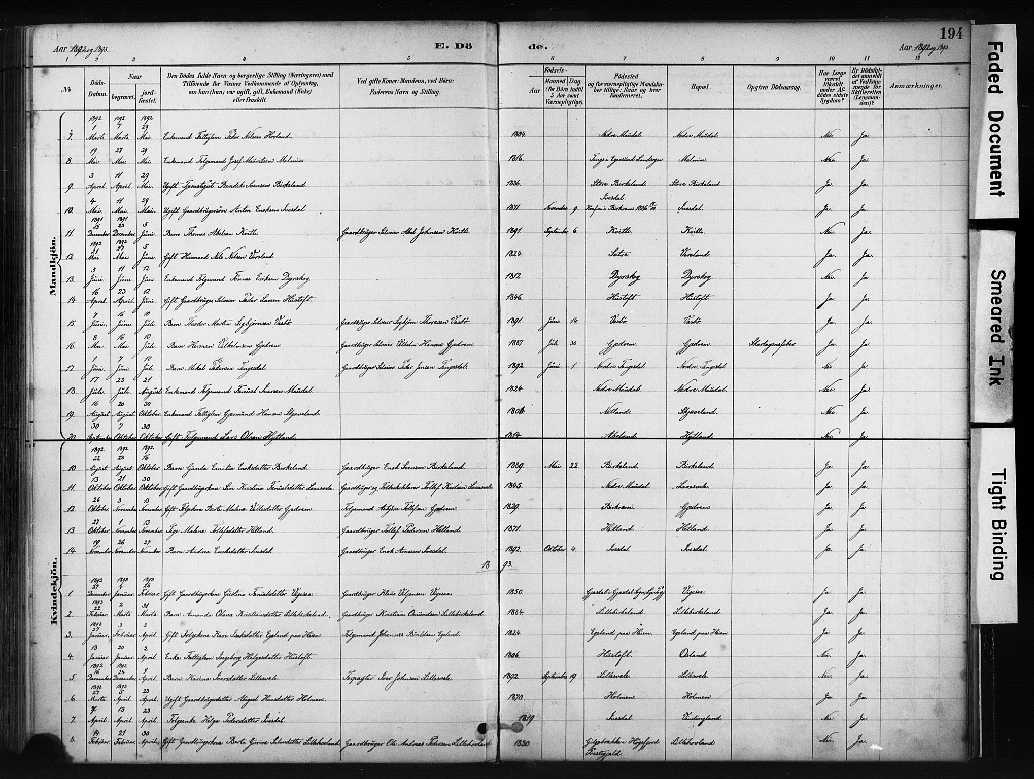 Helleland sokneprestkontor, AV/SAST-A-101810: Parish register (official) no. A 9, 1887-1908, p. 194