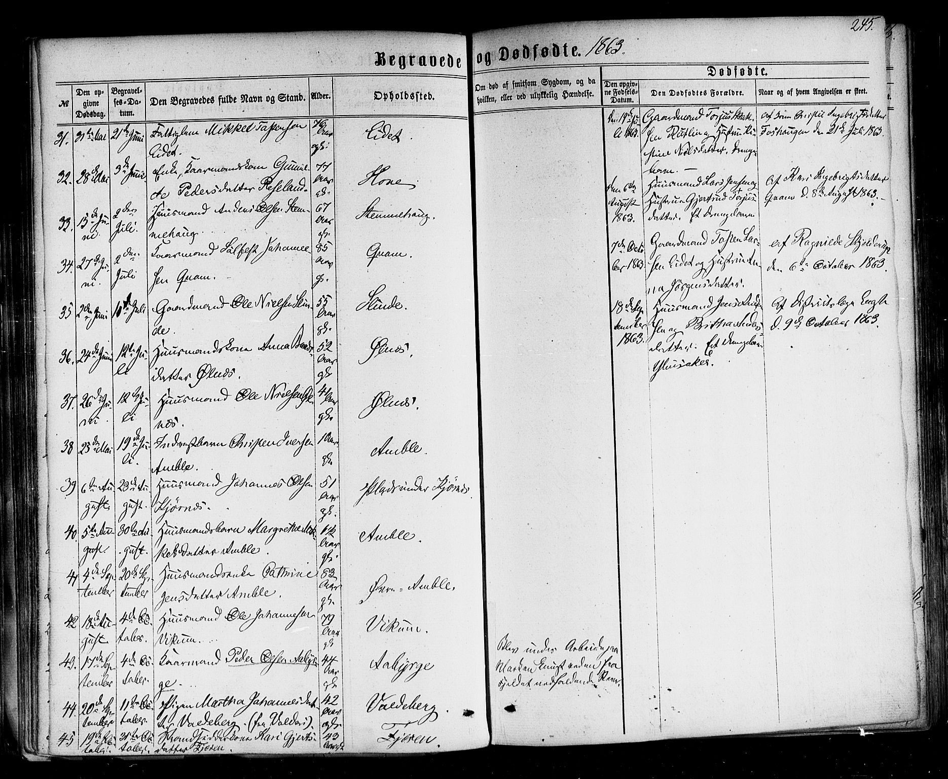 Sogndal sokneprestembete, AV/SAB-A-81301/H/Haa/Haaa/L0013: Parish register (official) no. A 13, 1859-1877, p. 245