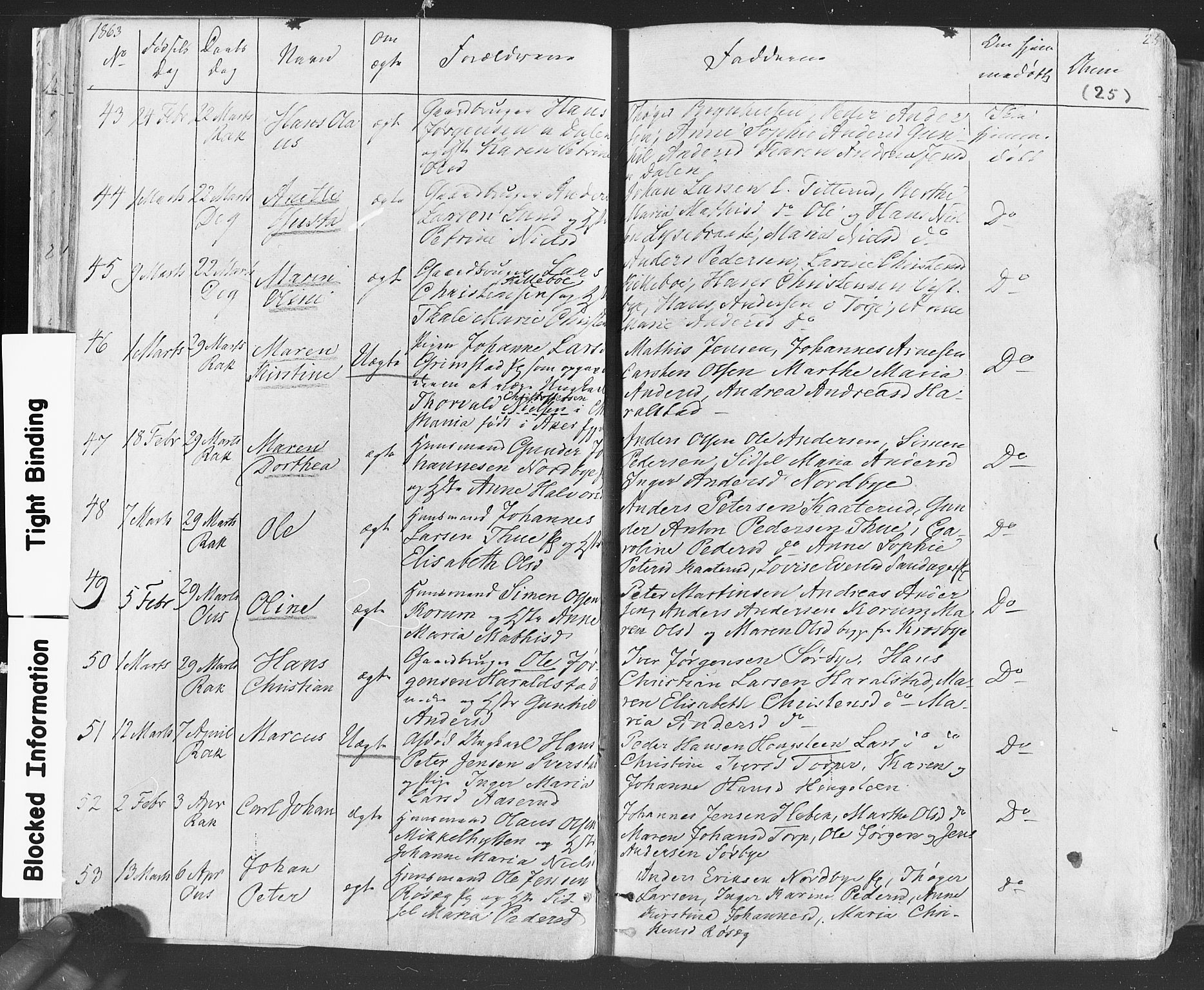 Rakkestad prestekontor Kirkebøker, AV/SAO-A-2008/F/Fa/L0011: Parish register (official) no. I 11, 1862-1877, p. 25