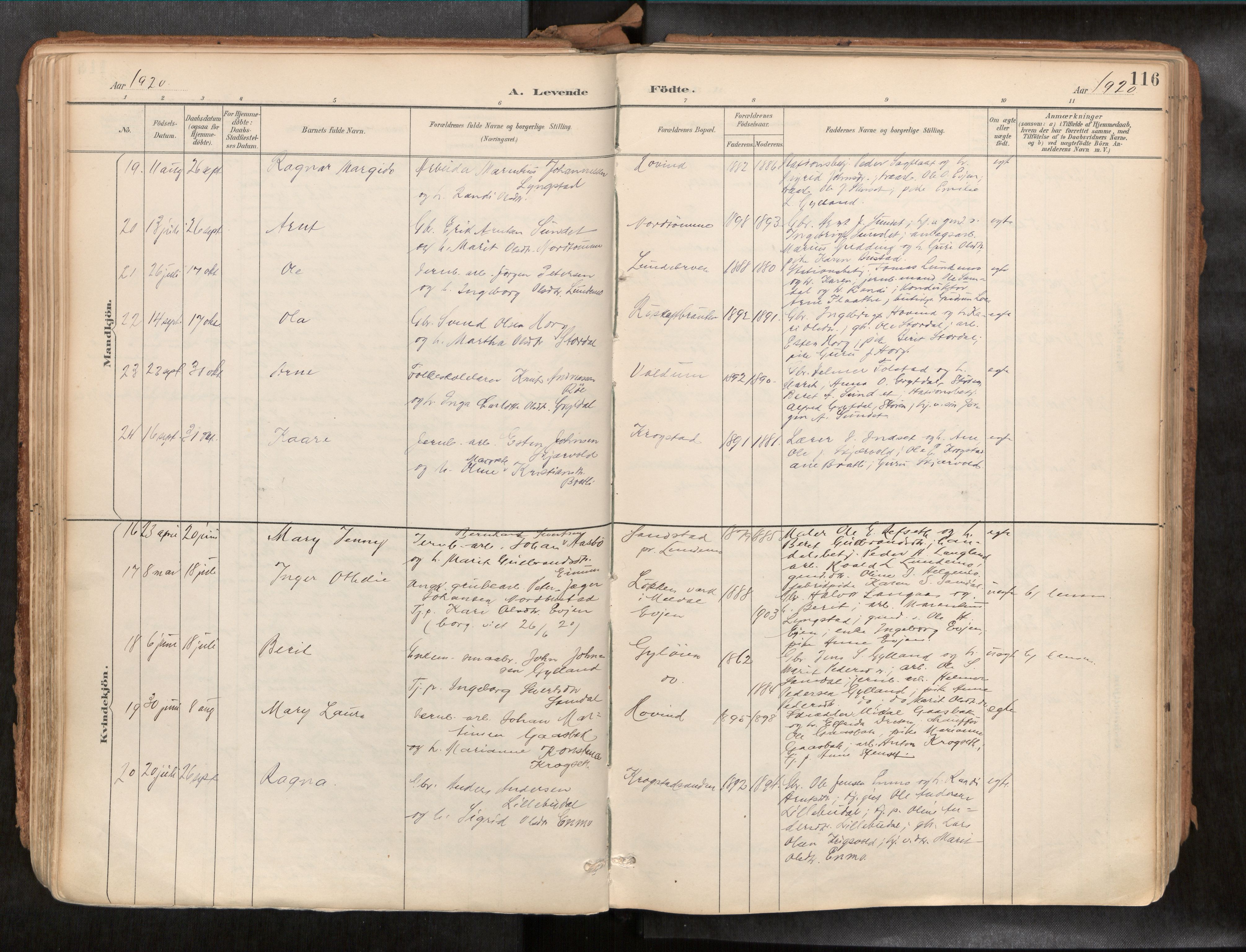 Ministerialprotokoller, klokkerbøker og fødselsregistre - Sør-Trøndelag, SAT/A-1456/692/L1105b: Parish register (official) no. 692A06, 1891-1934, p. 116
