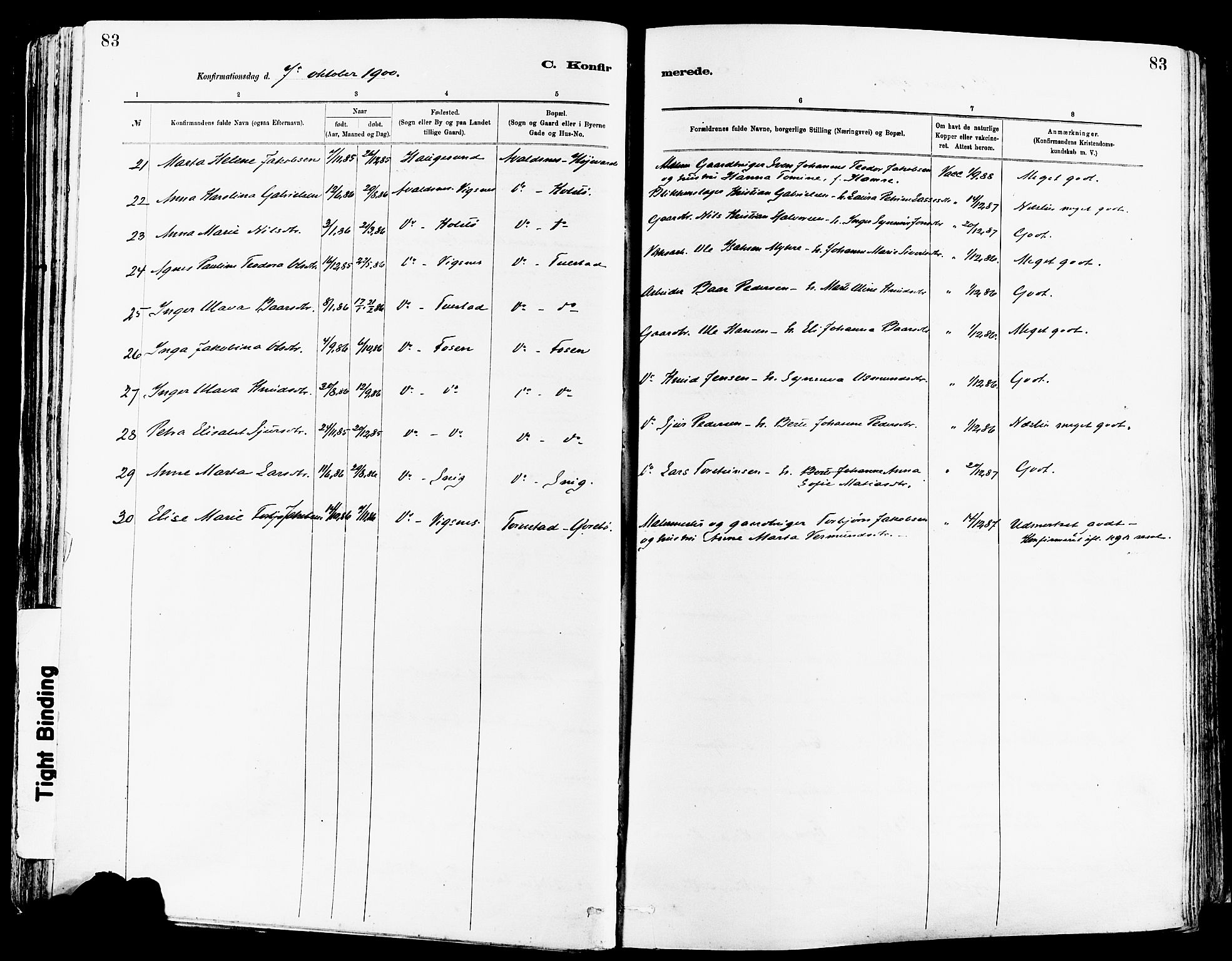 Avaldsnes sokneprestkontor, AV/SAST-A -101851/H/Ha/Haa/L0015: Parish register (official) no. A 15, 1880-1906, p. 83