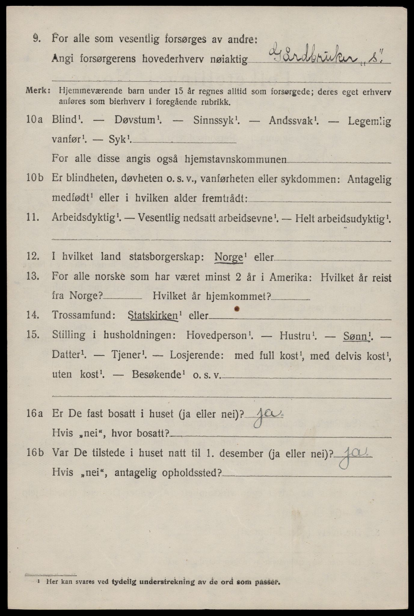 SAKO, 1920 census for Nissedal, 1920, p. 2036