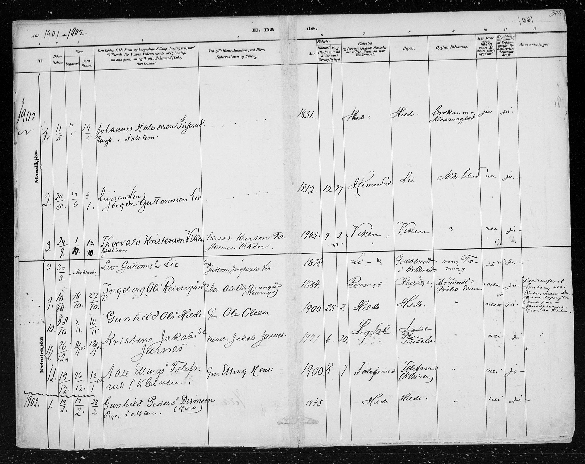 Nes kirkebøker, SAKO/A-236/F/Fa/L0012: Parish register (official) no. 12, 1881-1917, p. 306