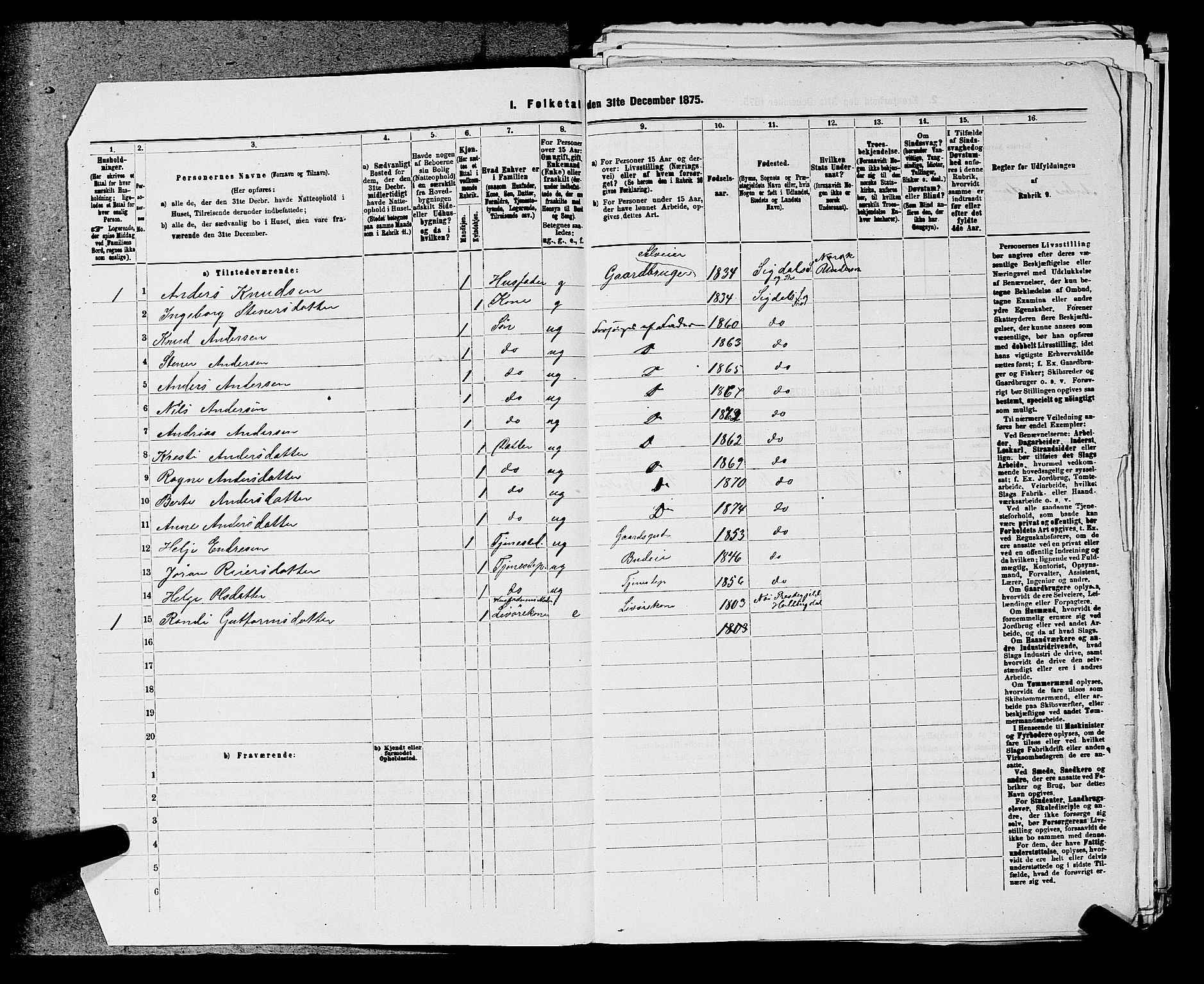 SAKO, 1875 census for 0621P Sigdal, 1875, p. 423