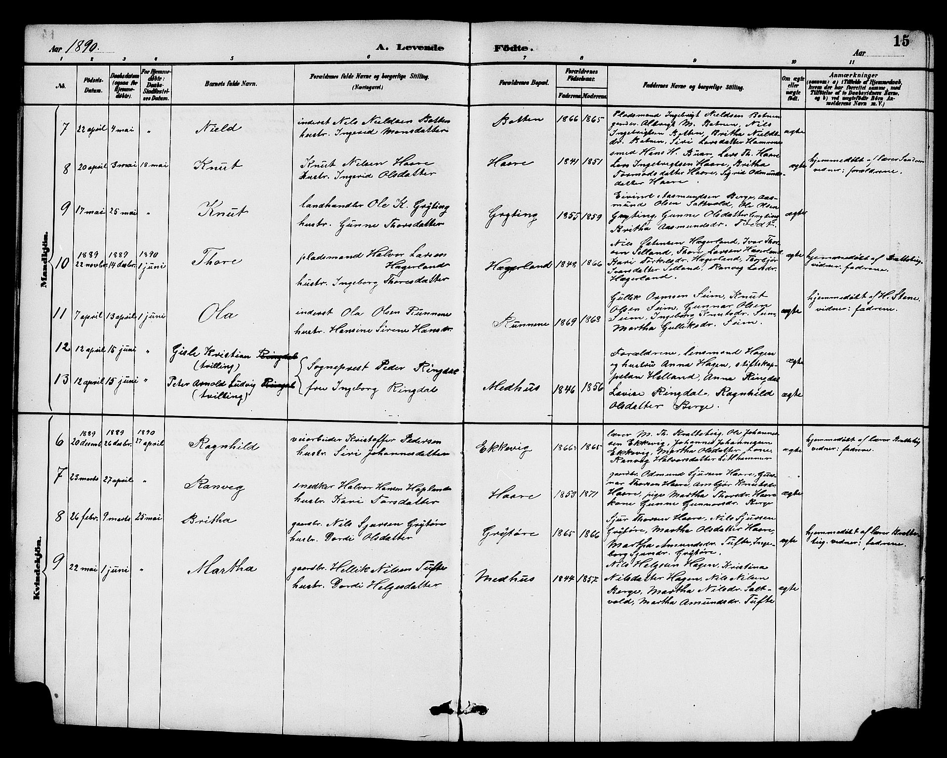 Røldal sokneprestembete, AV/SAB-A-100247: Parish register (copy) no. A 3, 1887-1917, p. 15