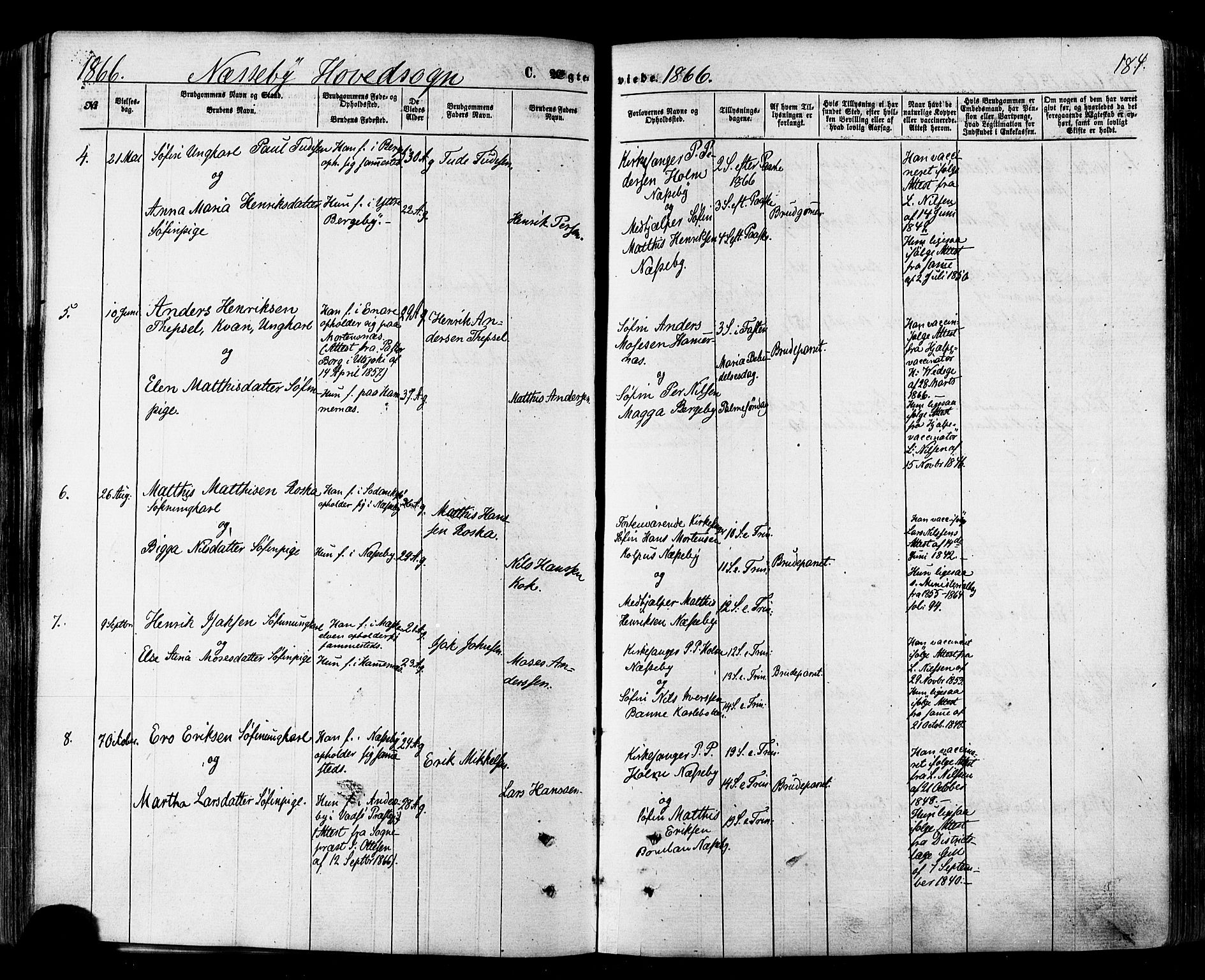 Nesseby sokneprestkontor, AV/SATØ-S-1330/H/Ha/L0003kirke: Parish register (official) no. 3 /1, 1865-1876, p. 184