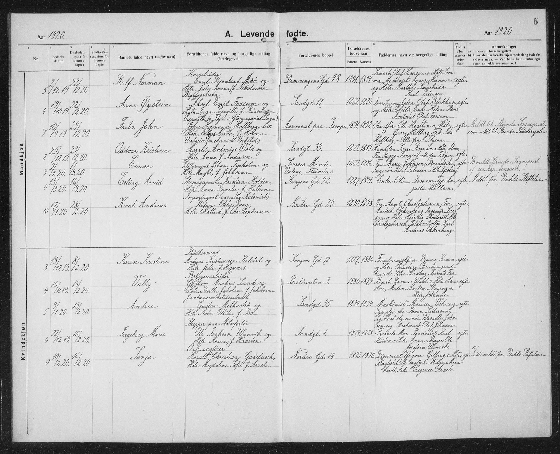 Ministerialprotokoller, klokkerbøker og fødselsregistre - Sør-Trøndelag, SAT/A-1456/602/L0148: Parish register (copy) no. 602C16, 1919-1939, p. 5