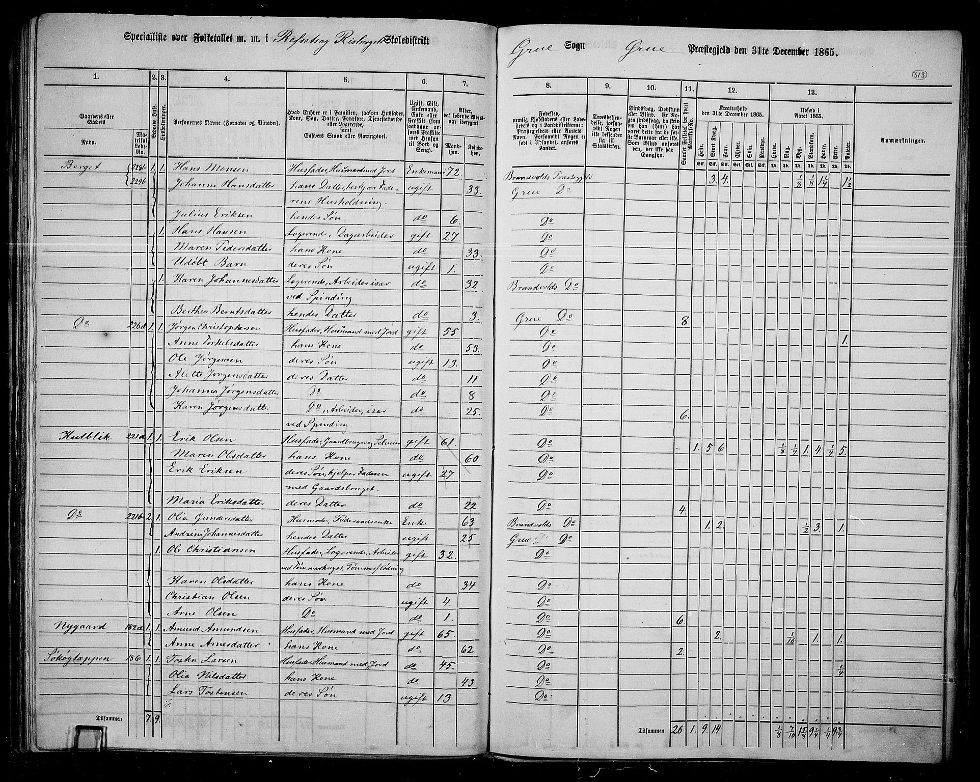 RA, 1865 census for Grue, 1865, p. 276