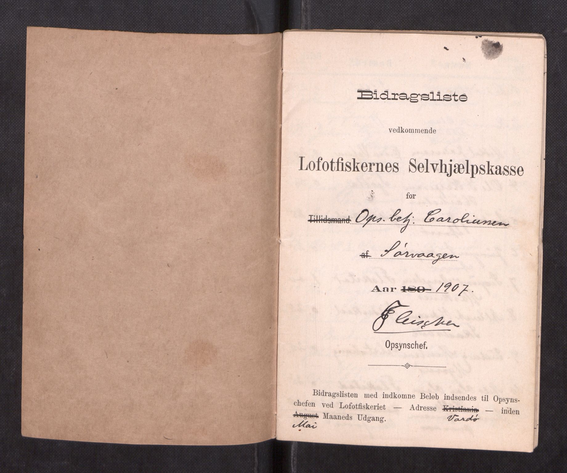 Oppsynssjefen ved Lofotfisket, AV/SAT-A-6224/D/L0173: Lofotfiskernes Selvhjelpskasse, 1885-1912, p. 419