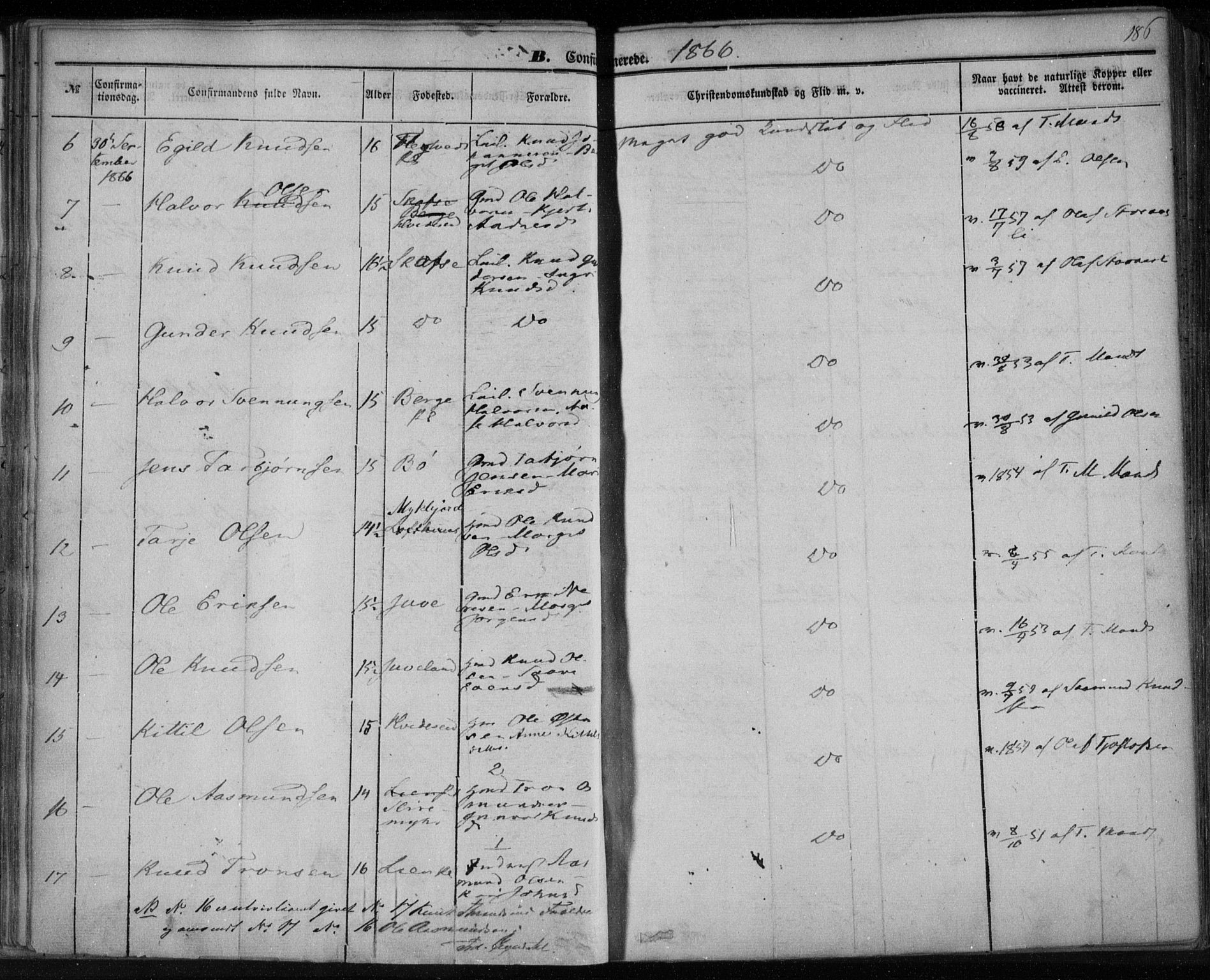 Lårdal kirkebøker, SAKO/A-284/F/Fa/L0006: Parish register (official) no. I 6, 1861-1886, p. 186
