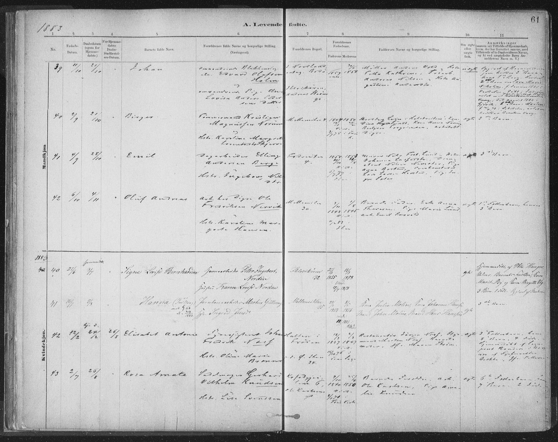 Ministerialprotokoller, klokkerbøker og fødselsregistre - Sør-Trøndelag, AV/SAT-A-1456/603/L0162: Parish register (official) no. 603A01, 1879-1895, p. 61