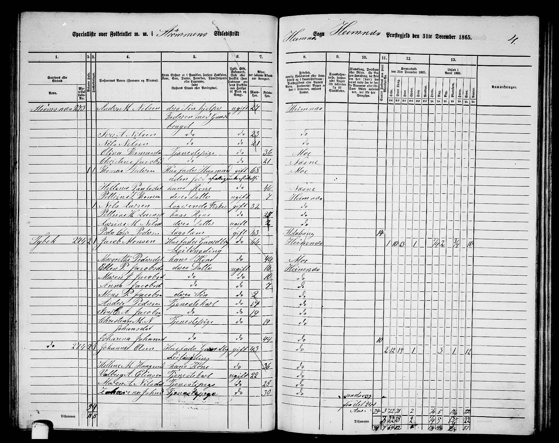 RA, 1865 census for Hemnes, 1865, p. 67