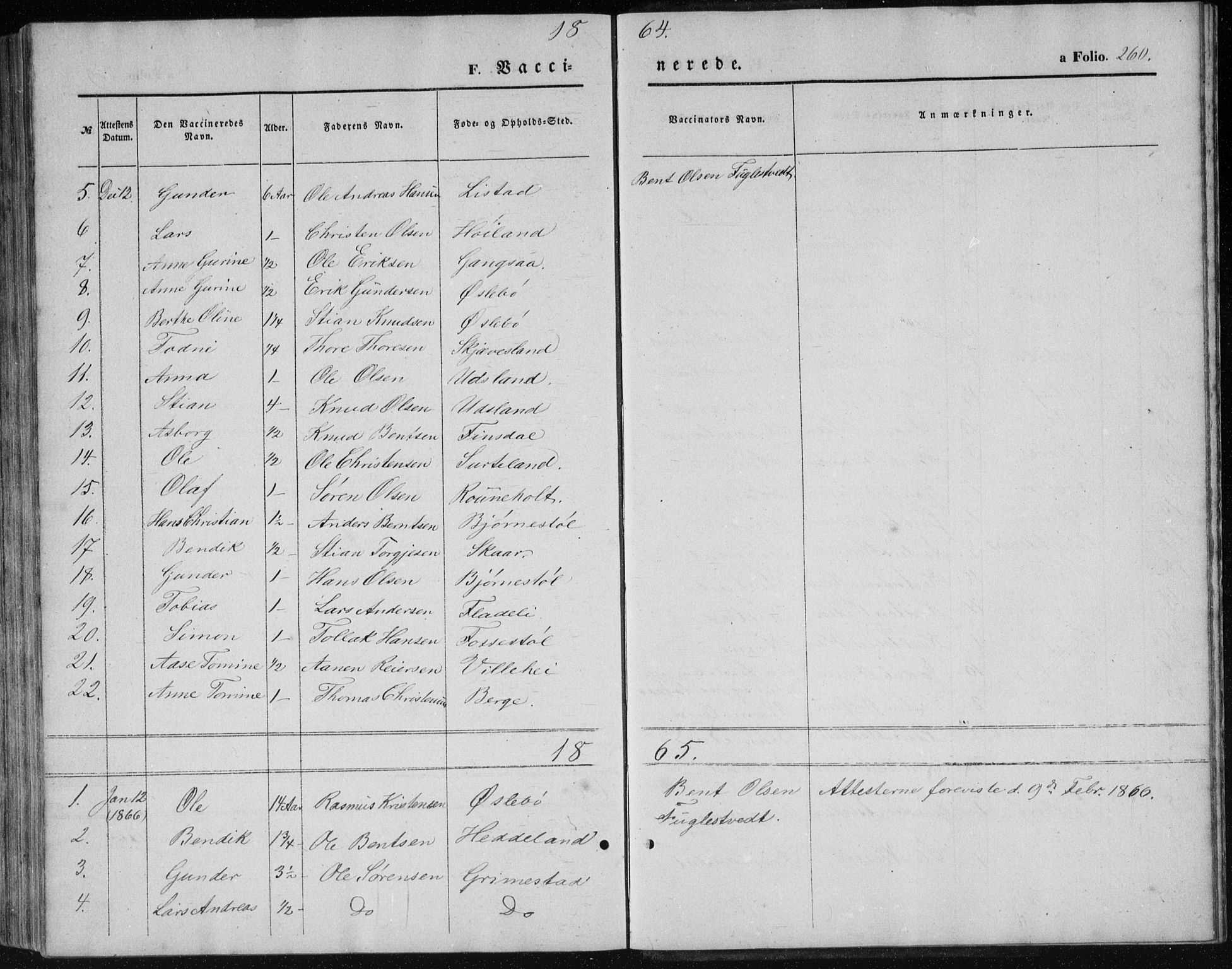 Holum sokneprestkontor, SAK/1111-0022/F/Fb/Fbc/L0002: Parish register (copy) no. B 2, 1860-1882, p. 260