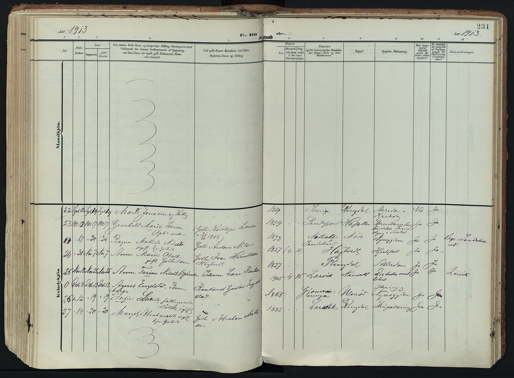 Hedrum kirkebøker, SAKO/A-344/F/Fa/L0010: Parish register (official) no. I 10, 1904-1918, p. 231