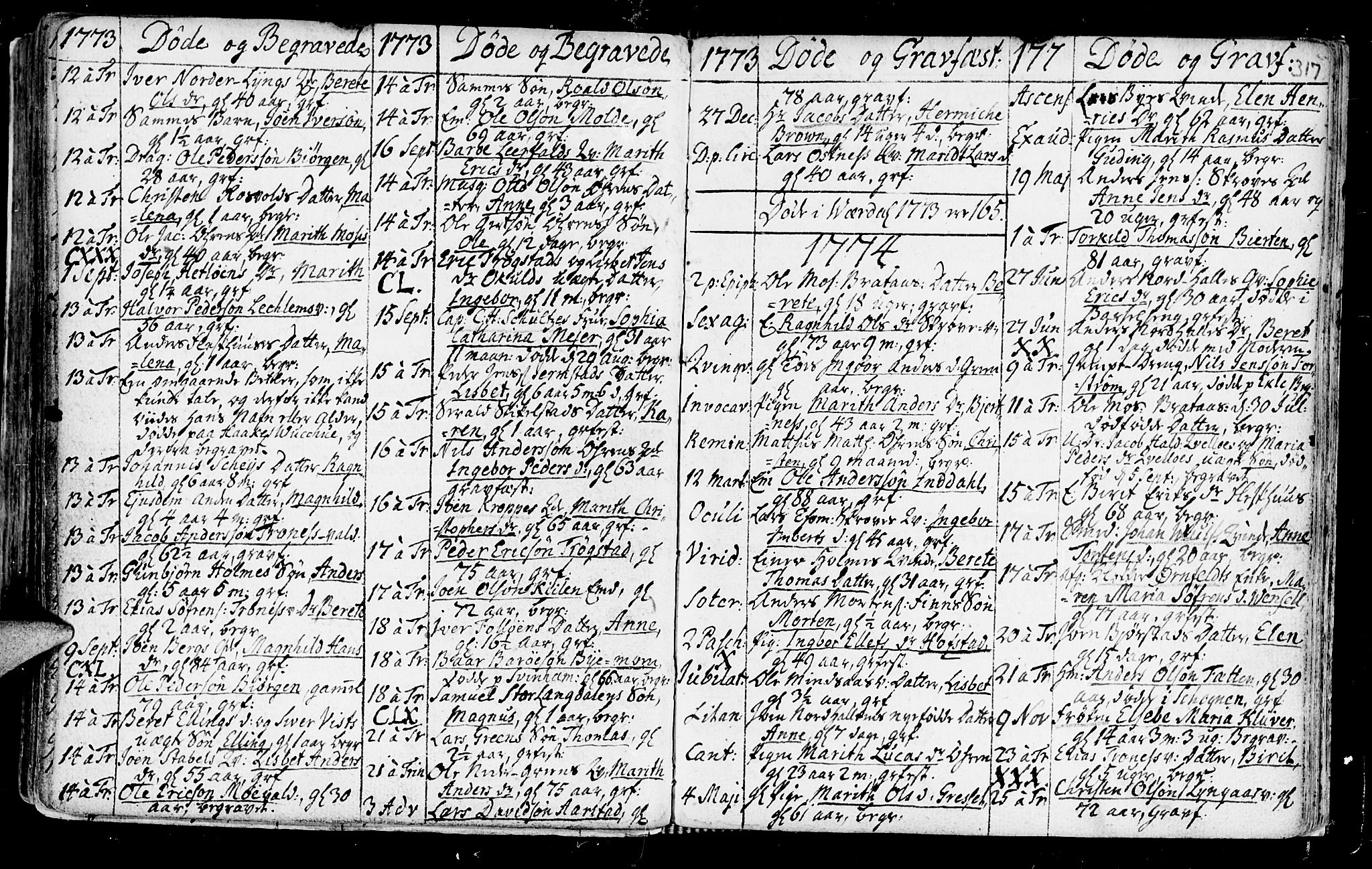 Ministerialprotokoller, klokkerbøker og fødselsregistre - Nord-Trøndelag, SAT/A-1458/723/L0231: Parish register (official) no. 723A02, 1748-1780, p. 317