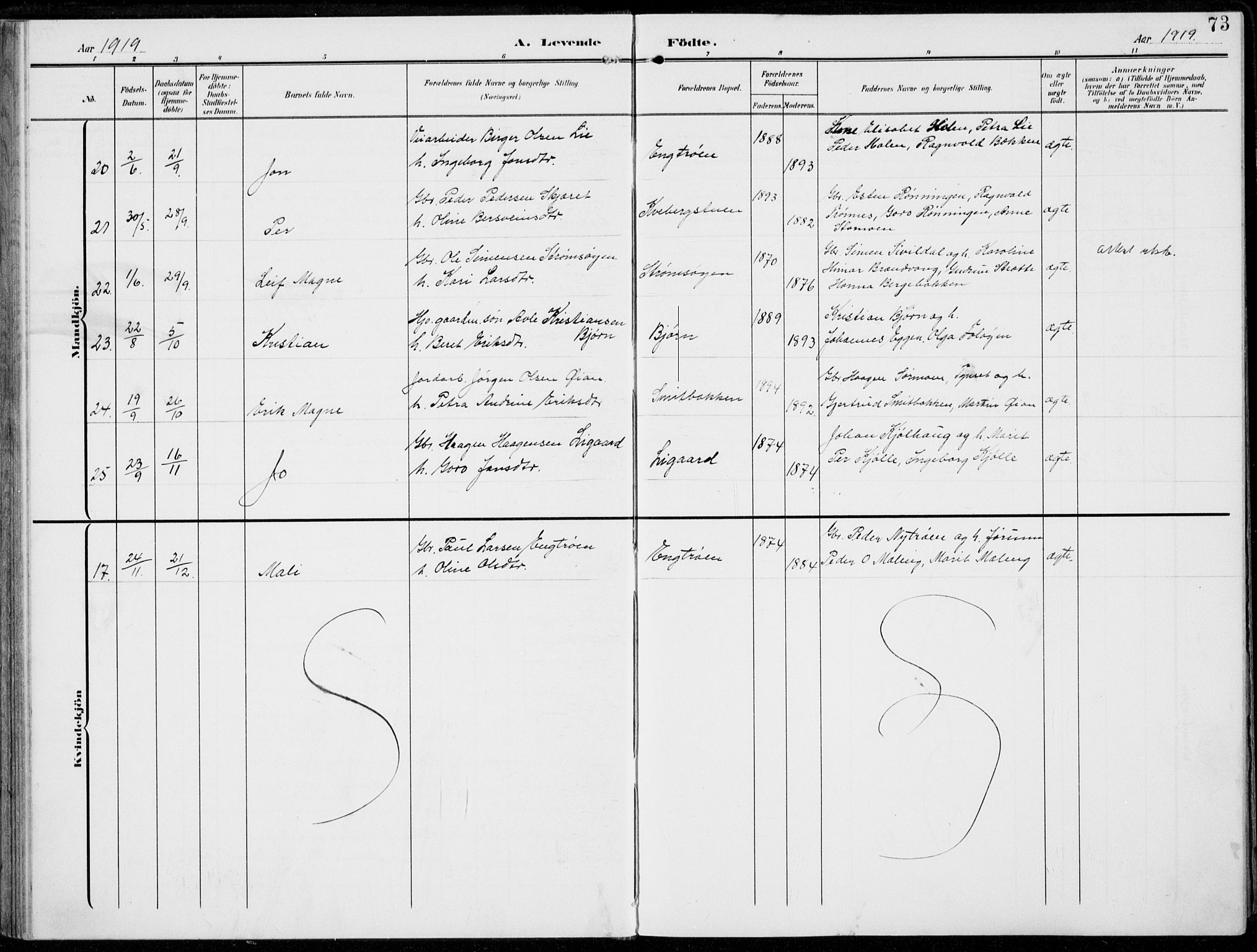 Alvdal prestekontor, AV/SAH-PREST-060/H/Ha/Haa/L0004: Parish register (official) no. 4, 1907-1919, p. 73