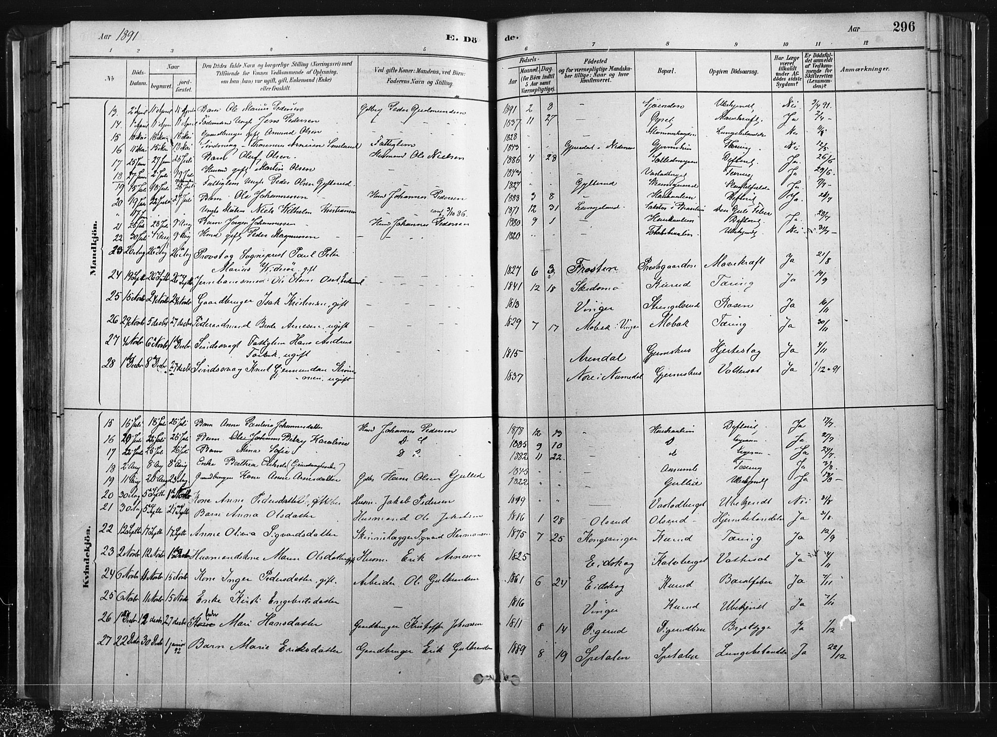 Vinger prestekontor, SAH/PREST-024/H/Ha/Haa/L0014: Parish register (official) no. 14, 1881-1900, p. 296