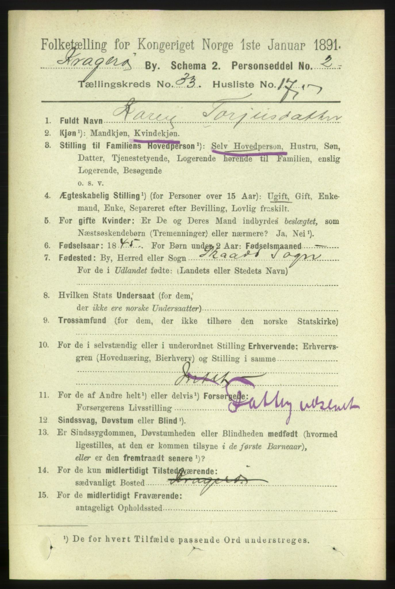 RA, 1891 census for 0801 Kragerø, 1891, p. 6078