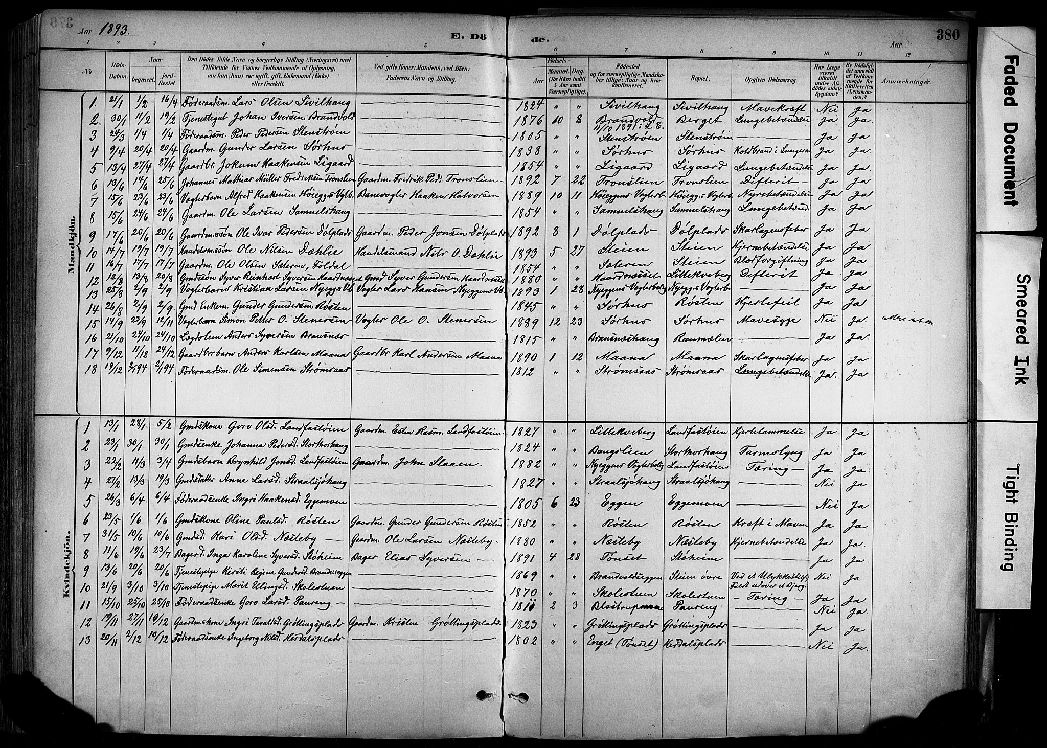 Alvdal prestekontor, SAH/PREST-060/H/Ha/Haa/L0002: Parish register (official) no. 2, 1883-1906, p. 380