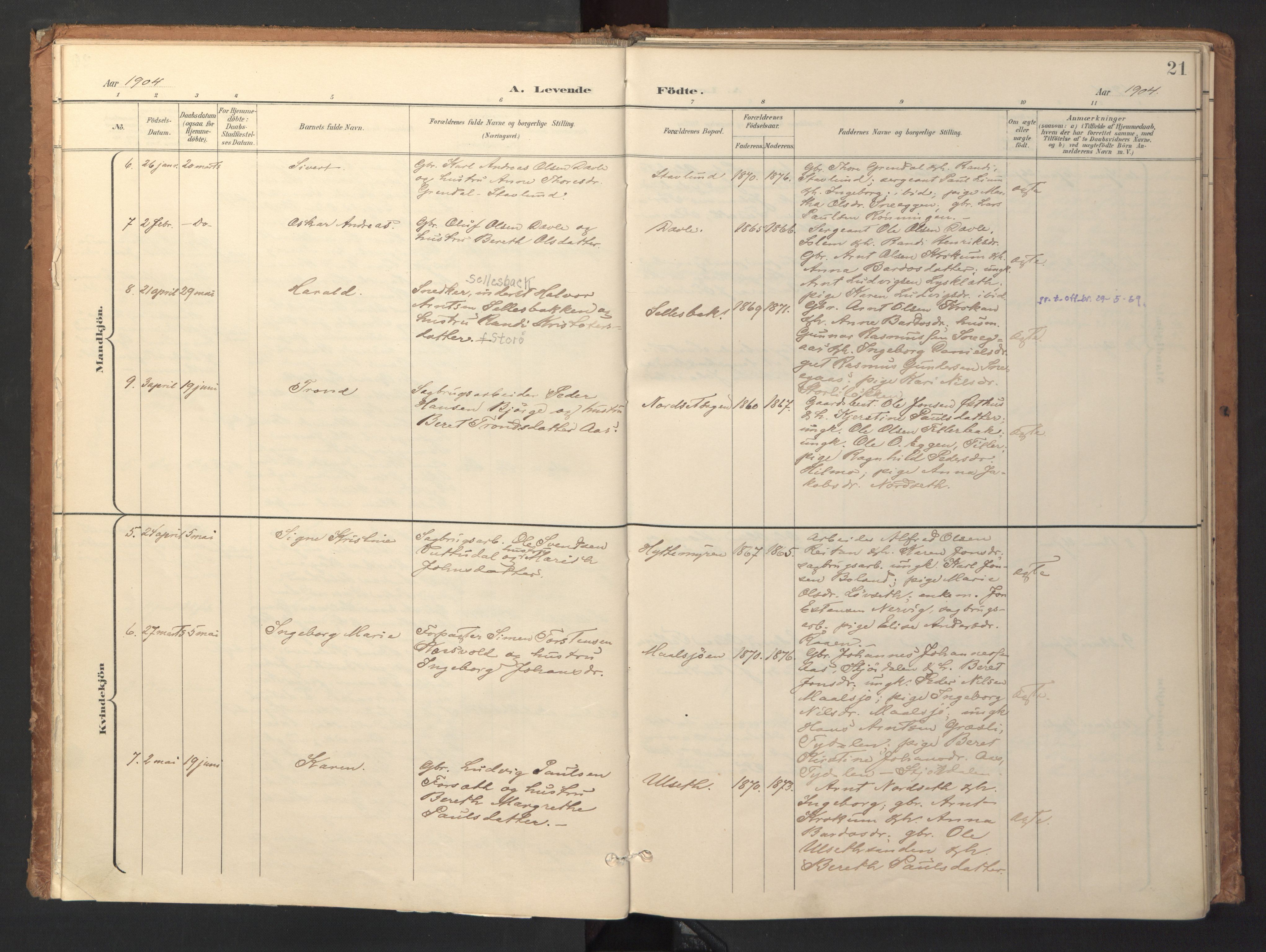 Ministerialprotokoller, klokkerbøker og fødselsregistre - Sør-Trøndelag, SAT/A-1456/618/L0448: Parish register (official) no. 618A11, 1898-1916, p. 21