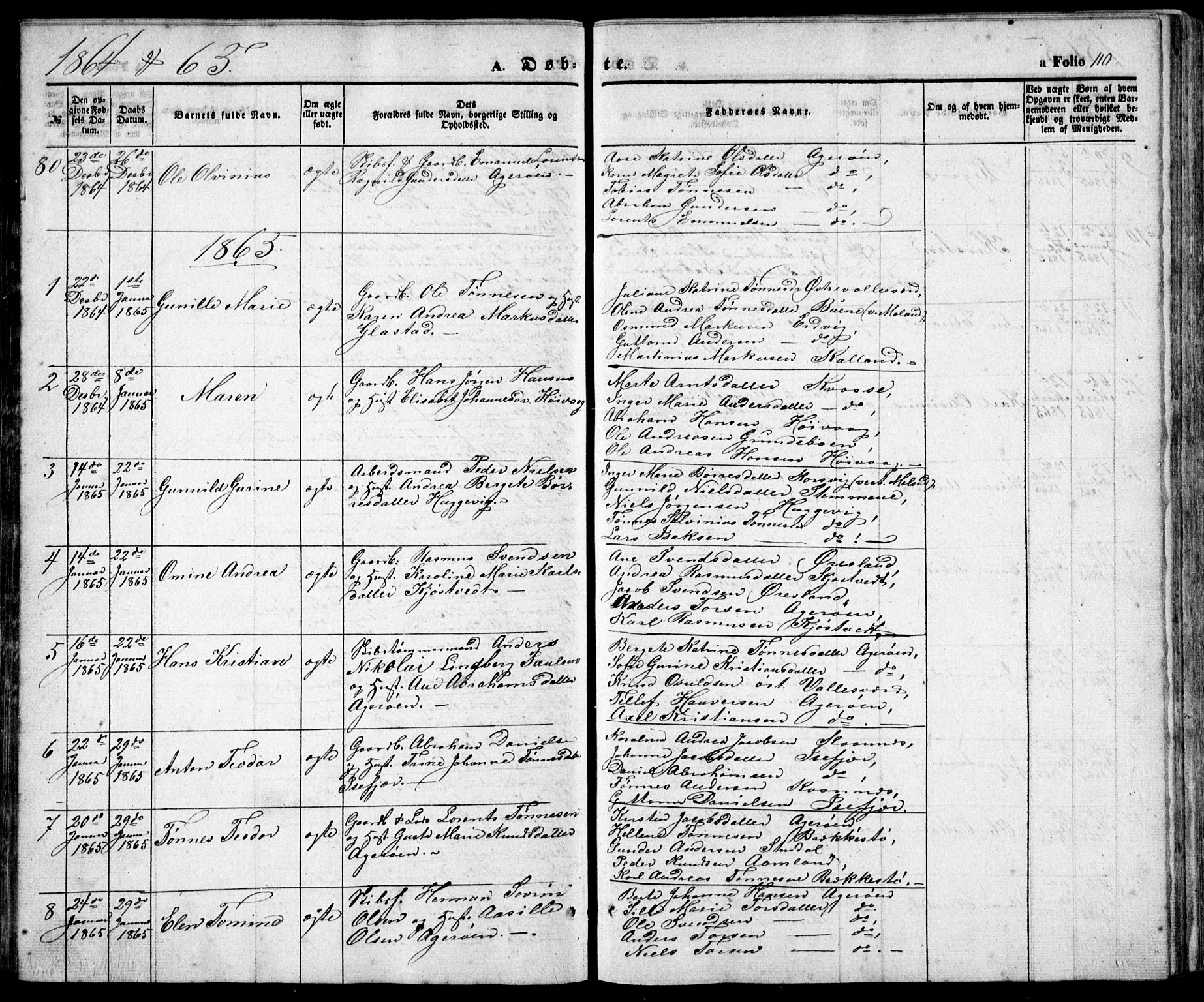 Høvåg sokneprestkontor, SAK/1111-0025/F/Fb/L0002: Parish register (copy) no. B 2, 1847-1869, p. 110
