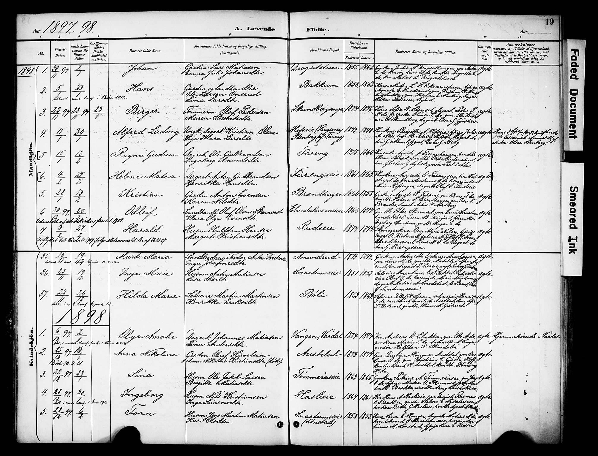 Biri prestekontor, SAH/PREST-096/H/Ha/Haa/L0008: Parish register (official) no. 8, 1894-1901, p. 19