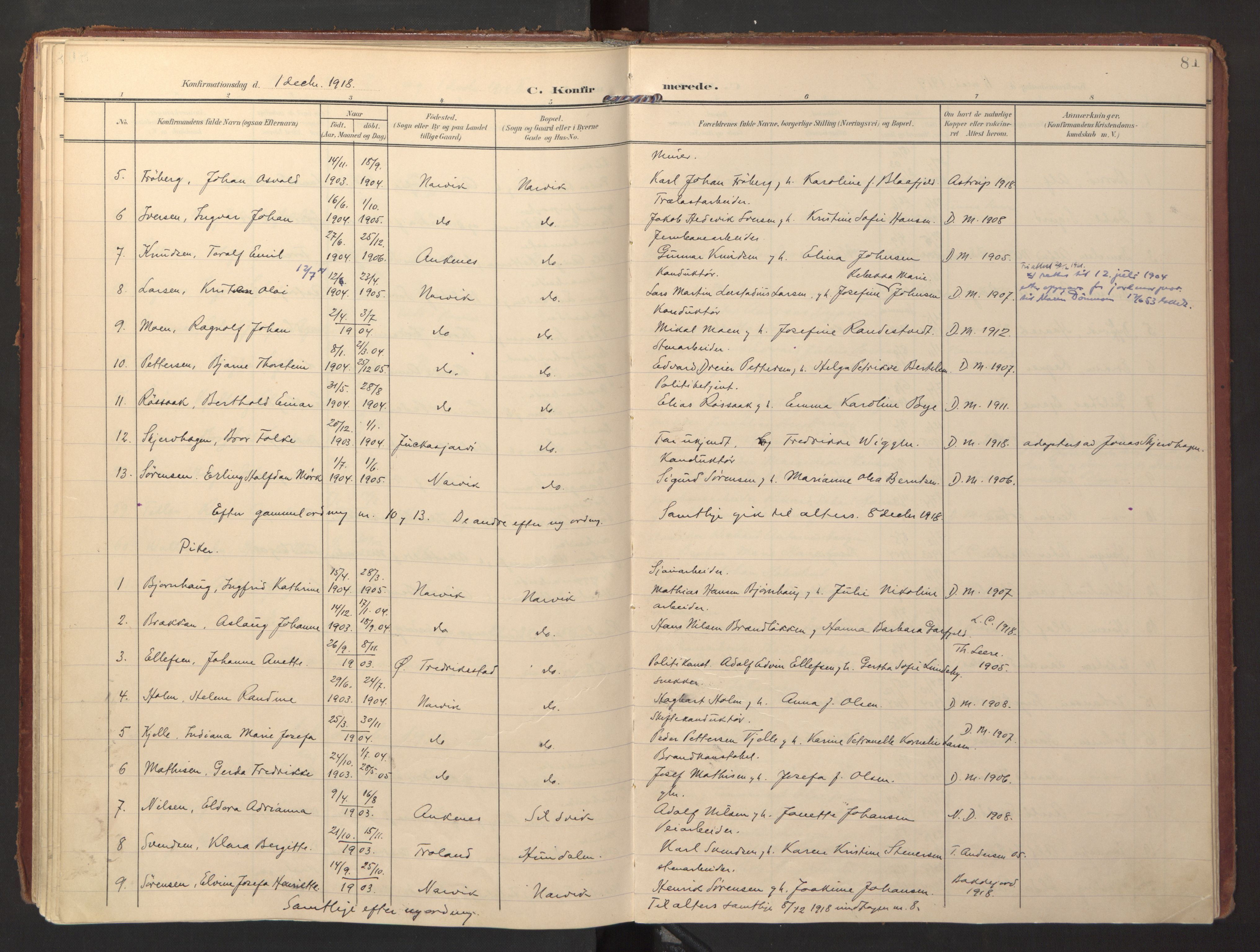 Ministerialprotokoller, klokkerbøker og fødselsregistre - Nordland, AV/SAT-A-1459/871/L0998: Parish register (official) no. 871A14, 1902-1921, p. 81