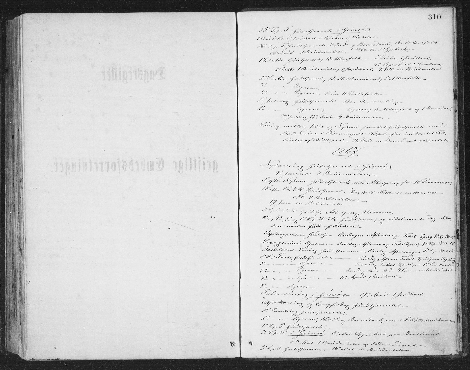 Ministerialprotokoller, klokkerbøker og fødselsregistre - Nordland, AV/SAT-A-1459/874/L1057: Parish register (official) no. 874A01, 1866-1877, p. 310