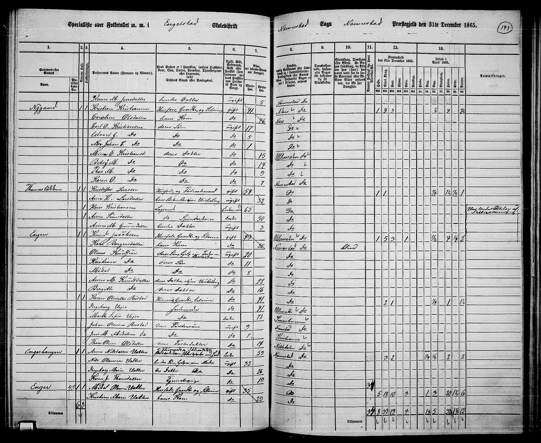 RA, 1865 census for Nannestad, 1865, p. 76