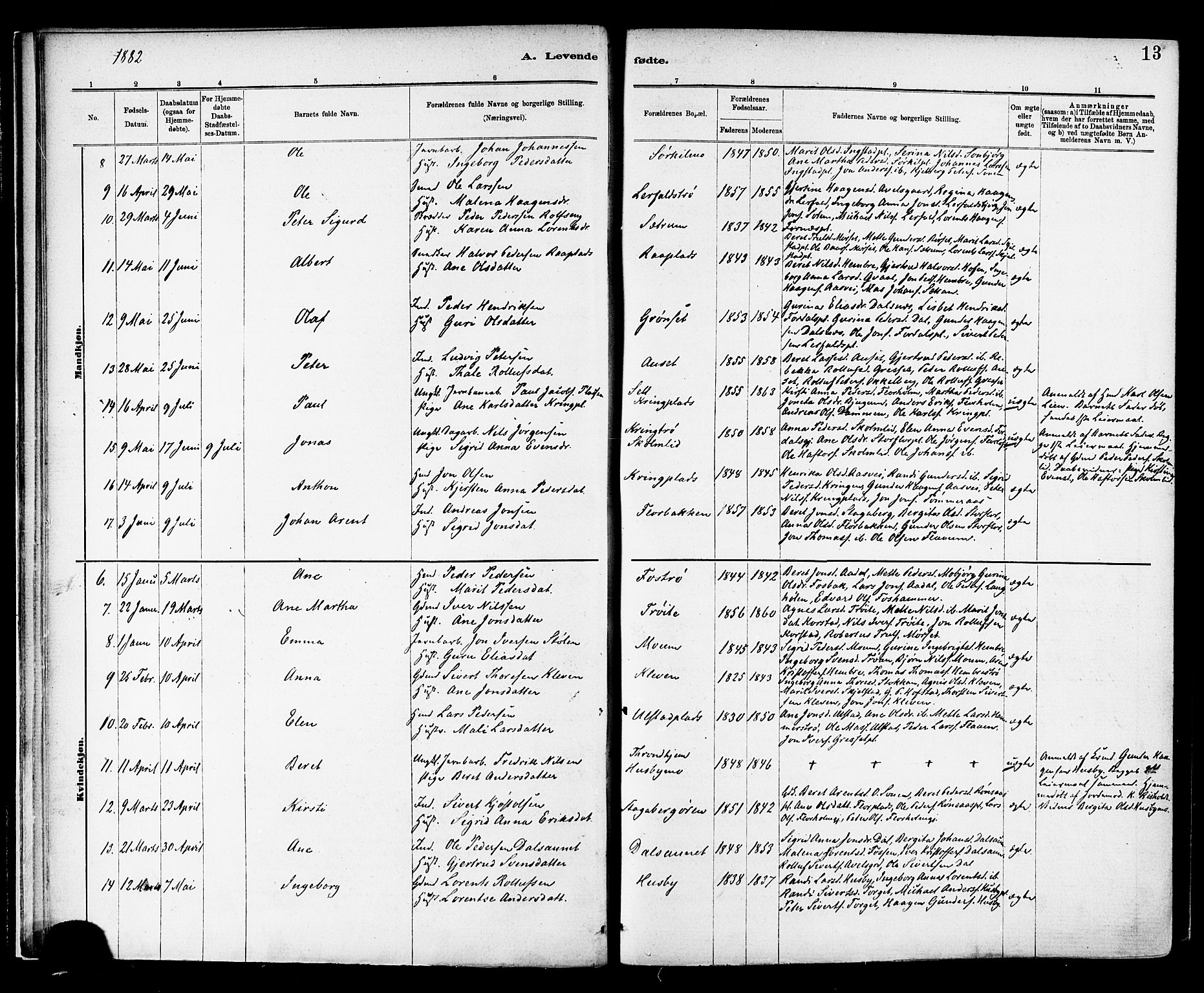 Ministerialprotokoller, klokkerbøker og fødselsregistre - Nord-Trøndelag, SAT/A-1458/703/L0030: Parish register (official) no. 703A03, 1880-1892, p. 13