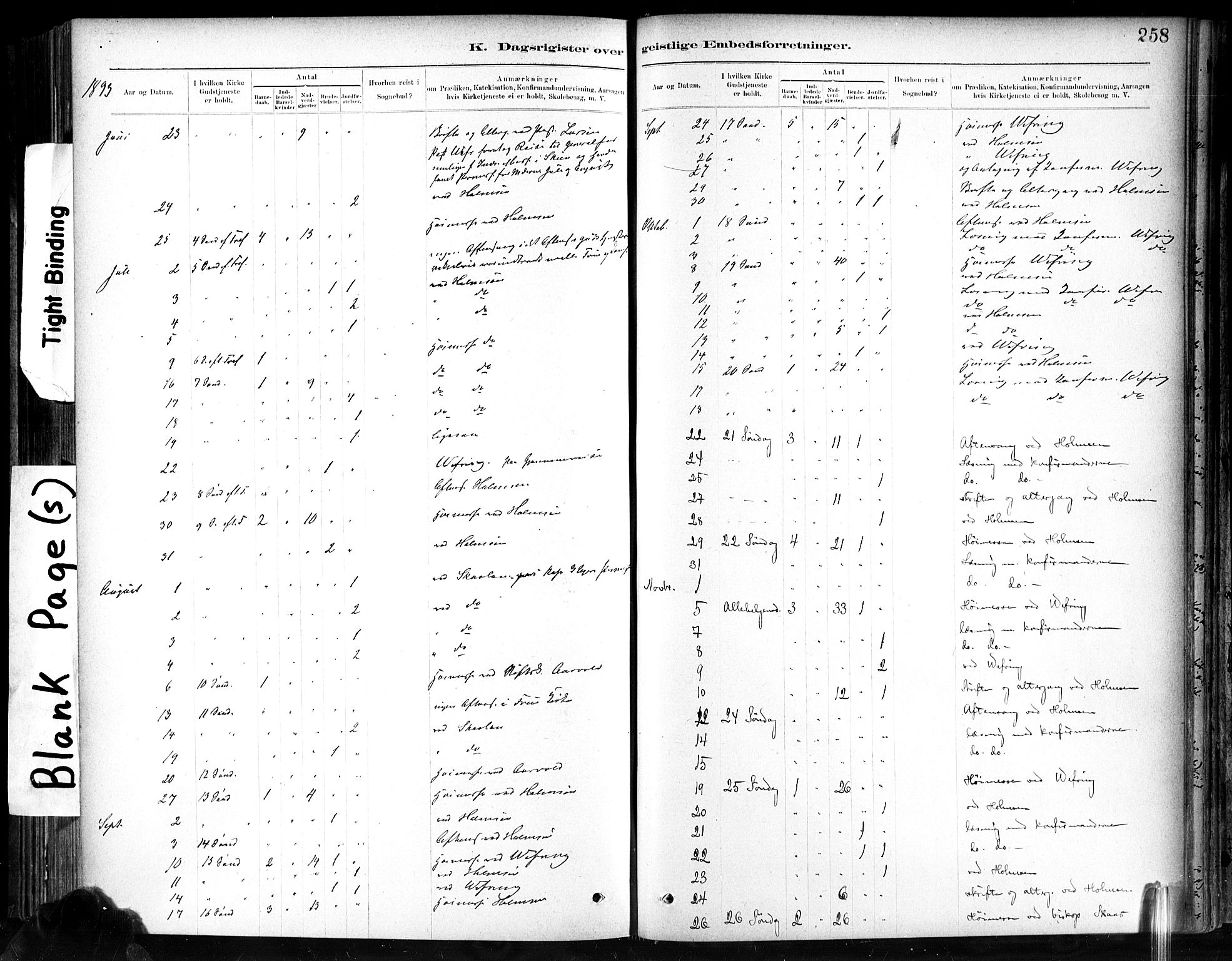 Ministerialprotokoller, klokkerbøker og fødselsregistre - Sør-Trøndelag, SAT/A-1456/602/L0120: Parish register (official) no. 602A18, 1880-1913, p. 258