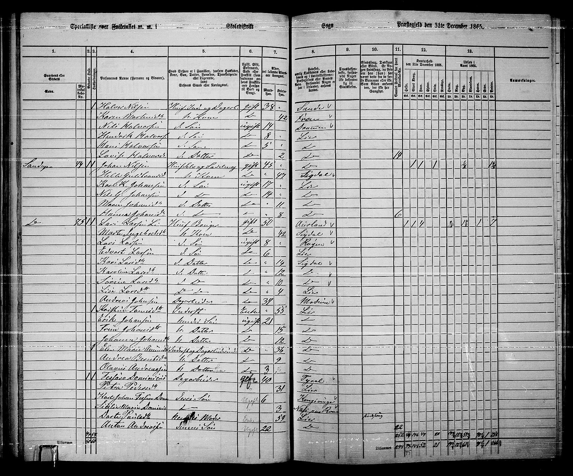 RA, 1865 census for Lier, 1865, p. 49