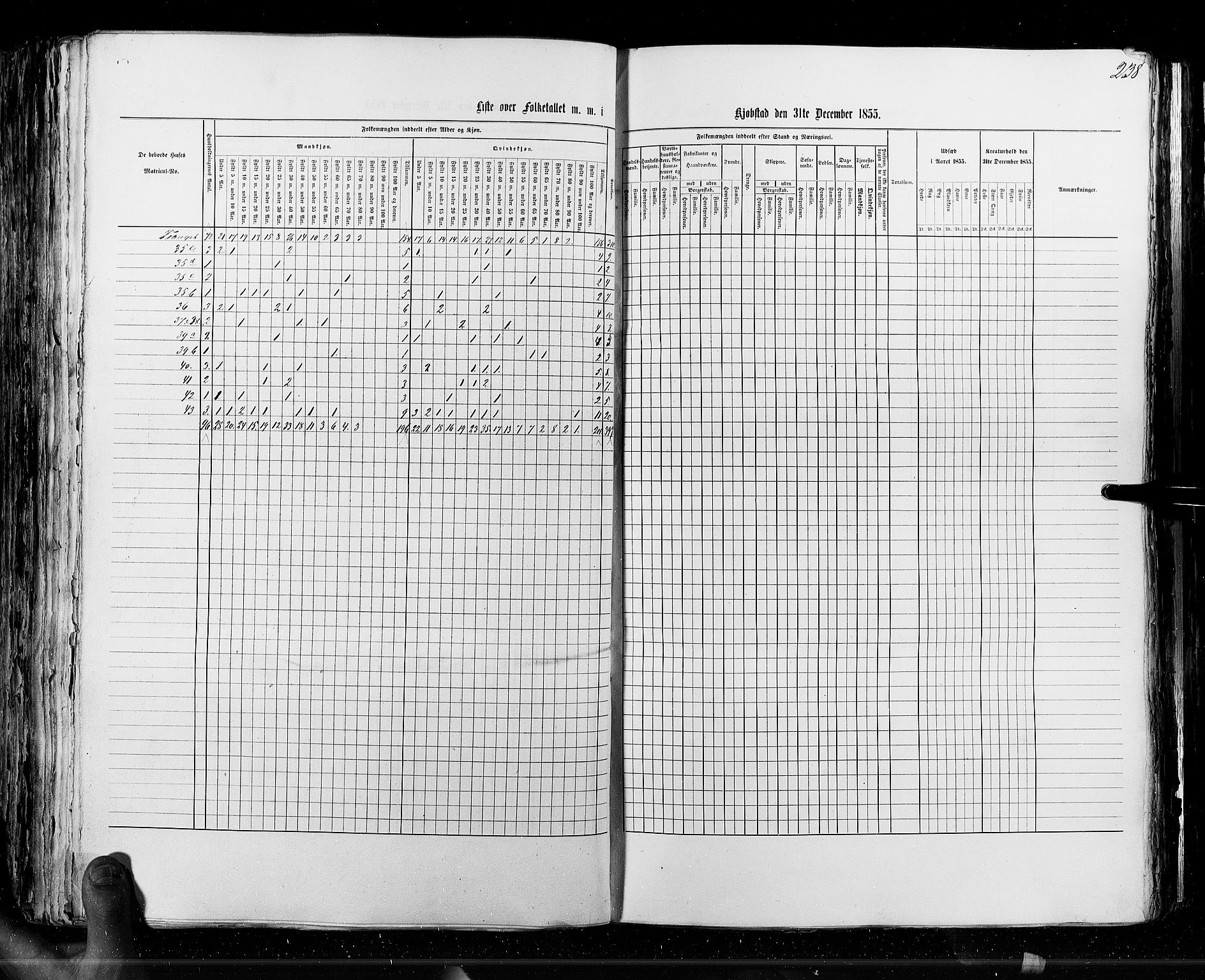 RA, Census 1855, vol. 7: Fredrikshald-Kragerø, 1855, p. 238