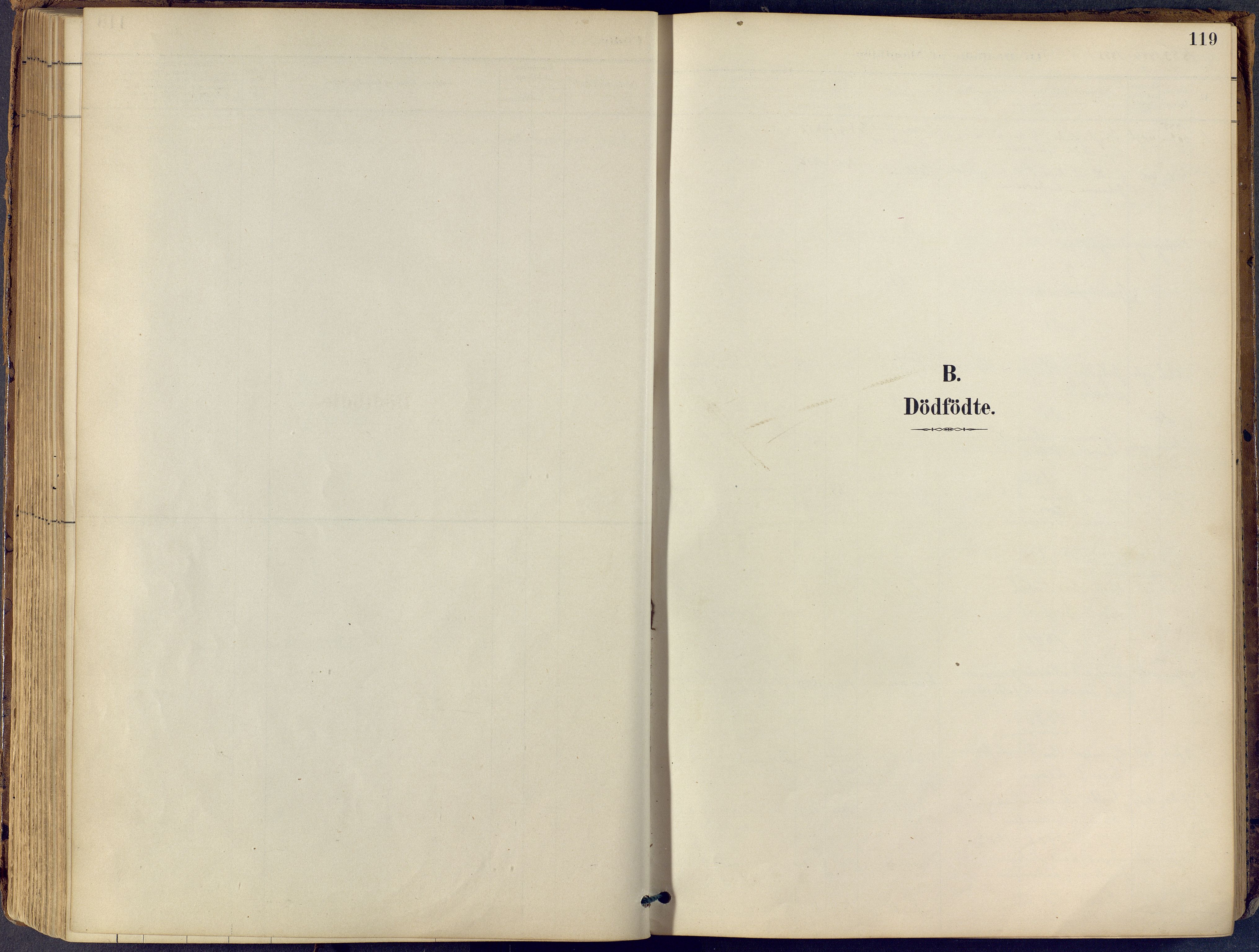 Lier kirkebøker, SAKO/A-230/F/Fb/L0001: Parish register (official) no. II 1, 1883-1910, p. 119