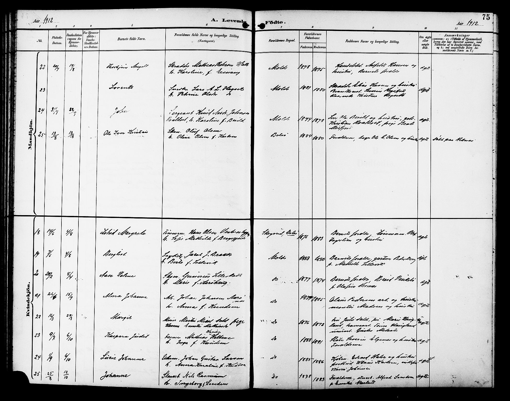 Ministerialprotokoller, klokkerbøker og fødselsregistre - Møre og Romsdal, AV/SAT-A-1454/558/L0702: Parish register (copy) no. 558C03, 1894-1915, p. 75