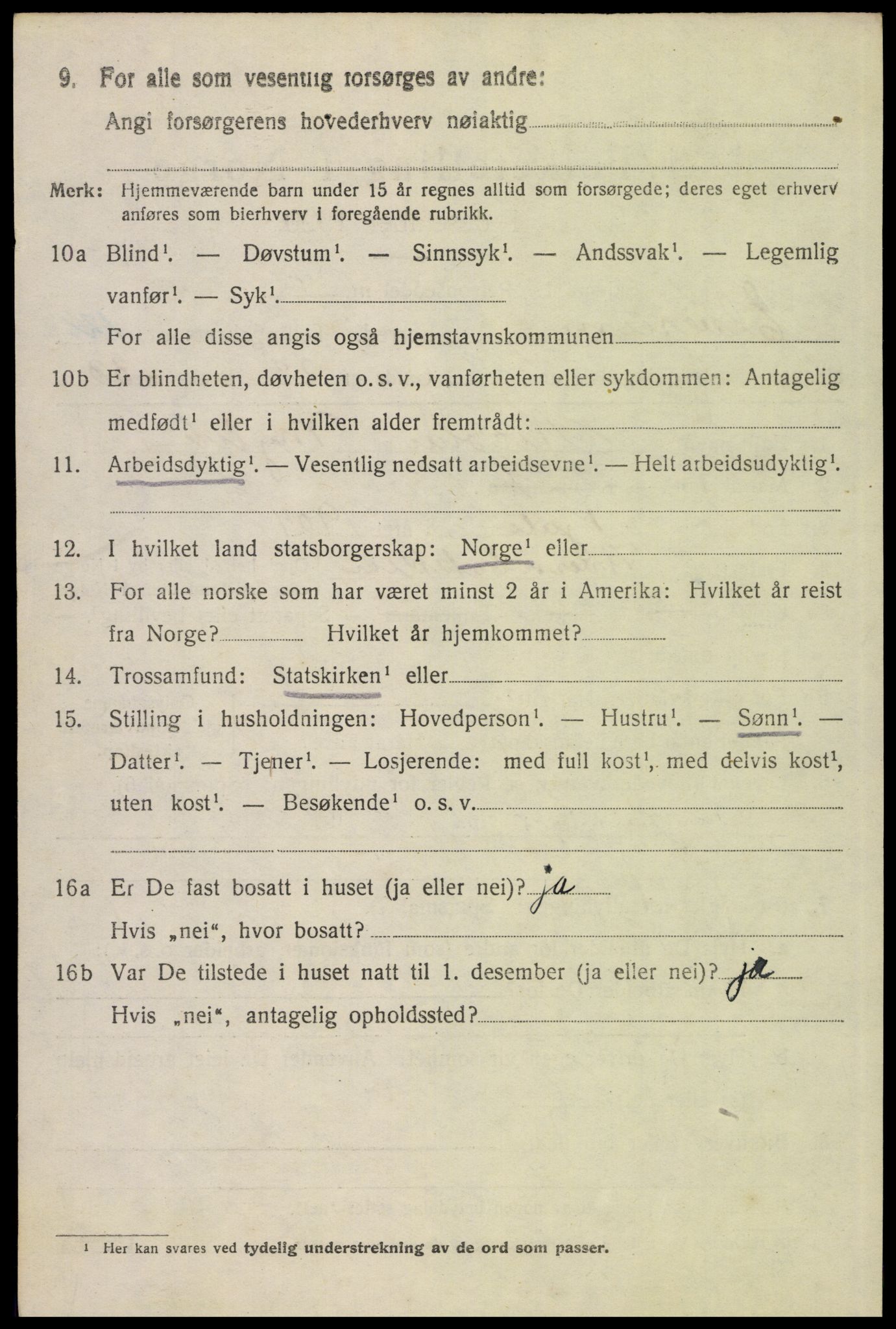 SAH, 1920 census for Elverum, 1920, p. 17251