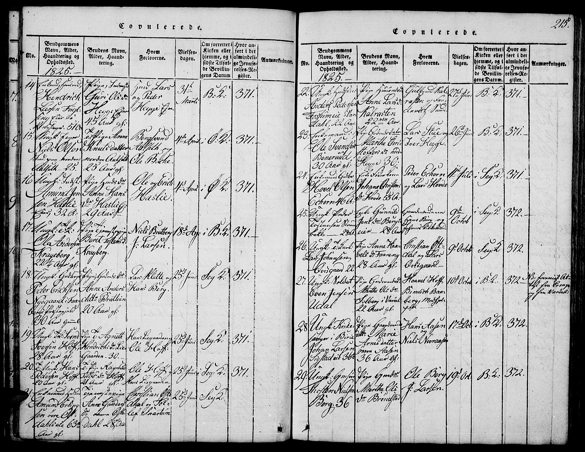 Biri prestekontor, SAH/PREST-096/H/Ha/Hab/L0001: Parish register (copy) no. 1, 1814-1828, p. 215