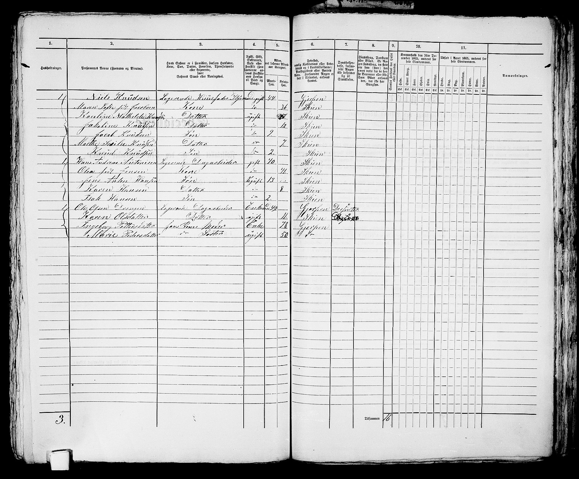 RA, 1865 census for Skien, 1865, p. 1193