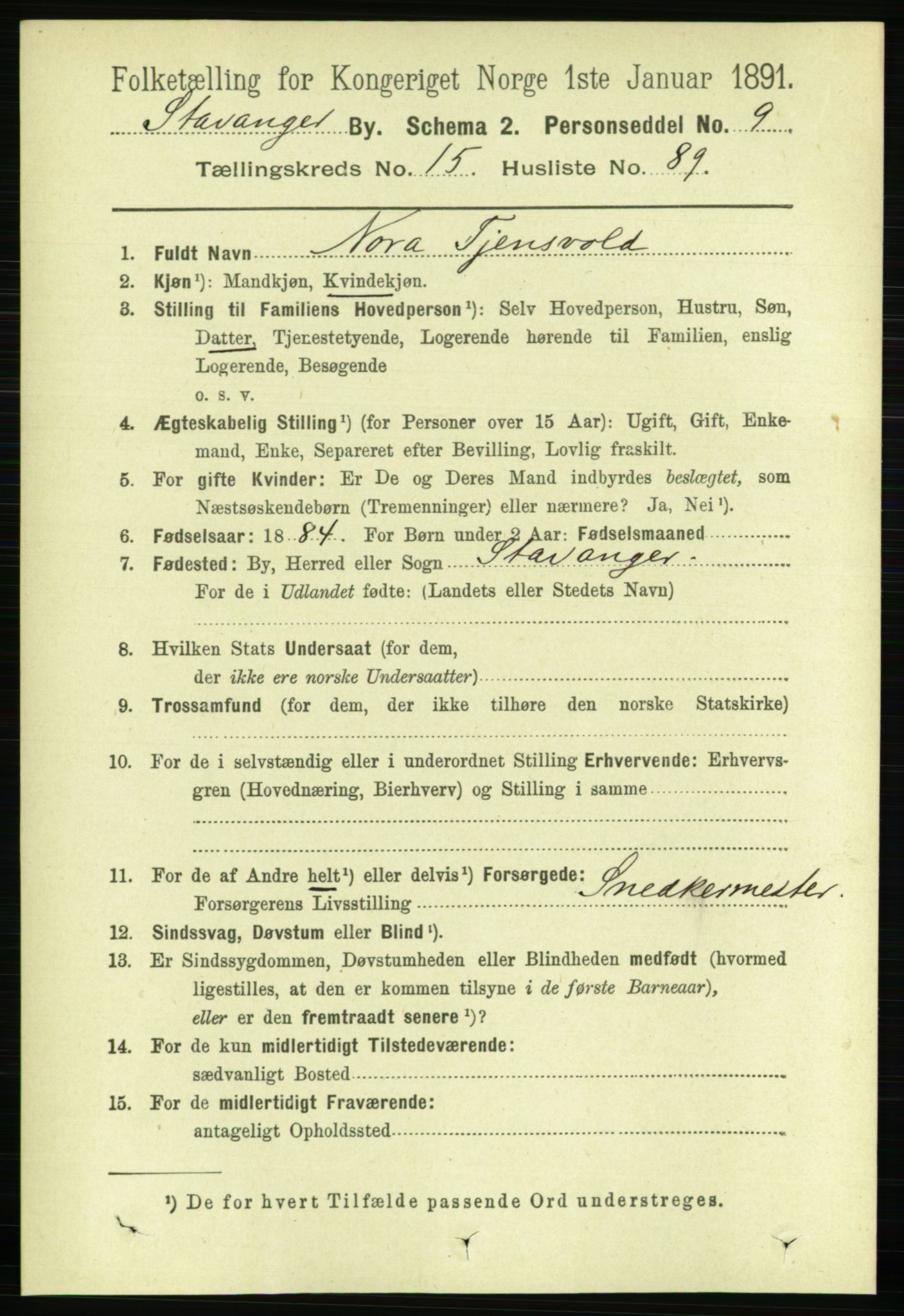 RA, 1891 census for 1103 Stavanger, 1891, p. 18725