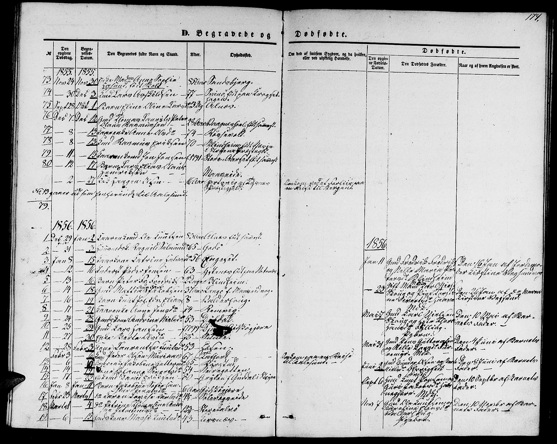 Ministerialprotokoller, klokkerbøker og fødselsregistre - Møre og Romsdal, AV/SAT-A-1454/528/L0427: Parish register (copy) no. 528C08, 1855-1864, p. 174