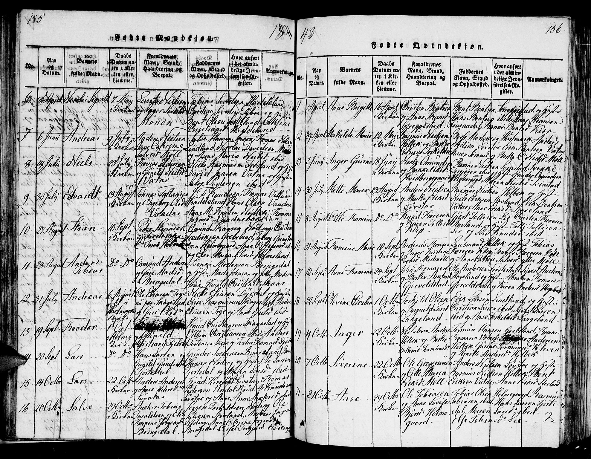 Holum sokneprestkontor, AV/SAK-1111-0022/F/Fb/Fba/L0002: Parish register (copy) no. B 2, 1820-1849, p. 155-156