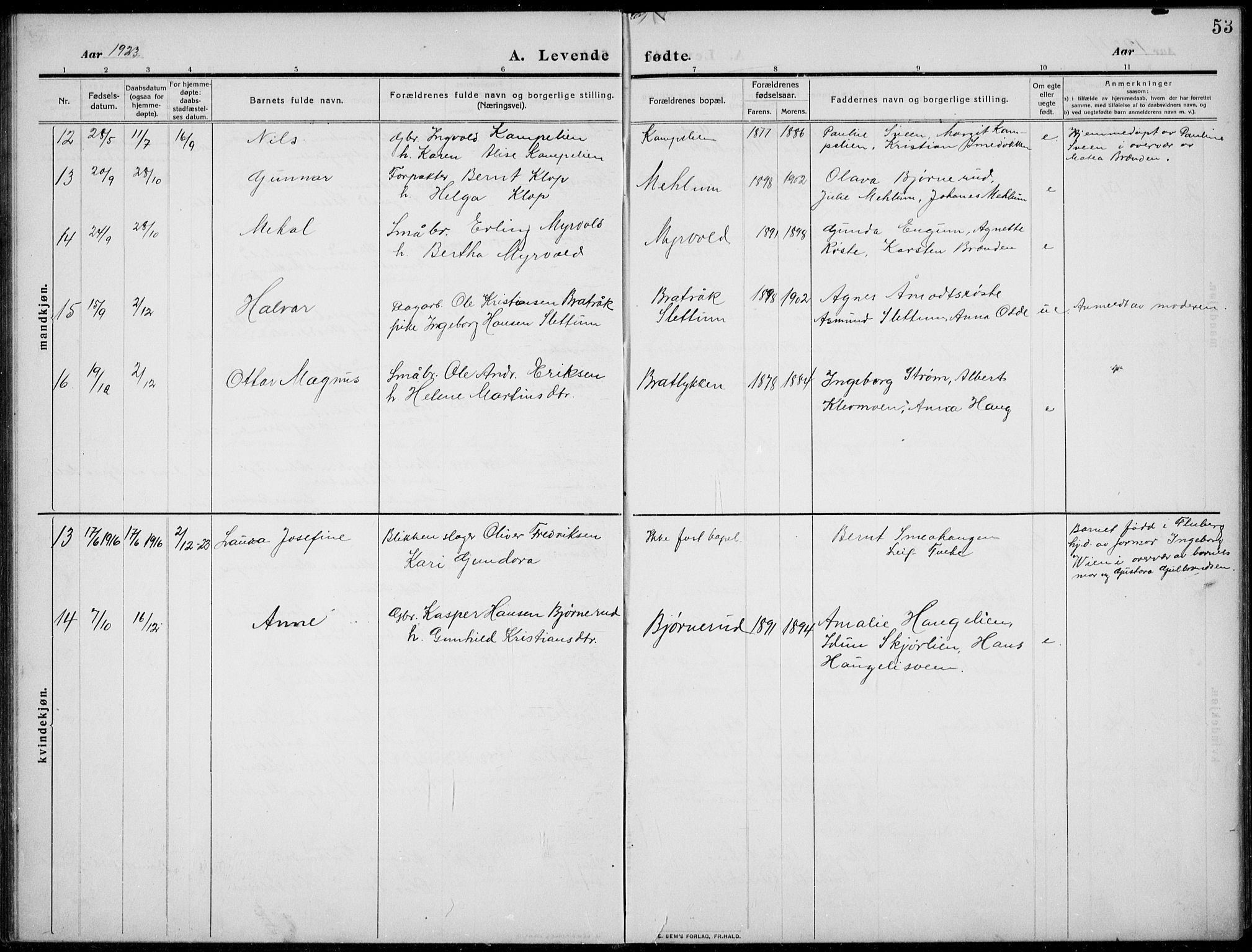 Nordre Land prestekontor, AV/SAH-PREST-124/H/Ha/Hab/L0002: Parish register (copy) no. 2, 1909-1934, p. 53