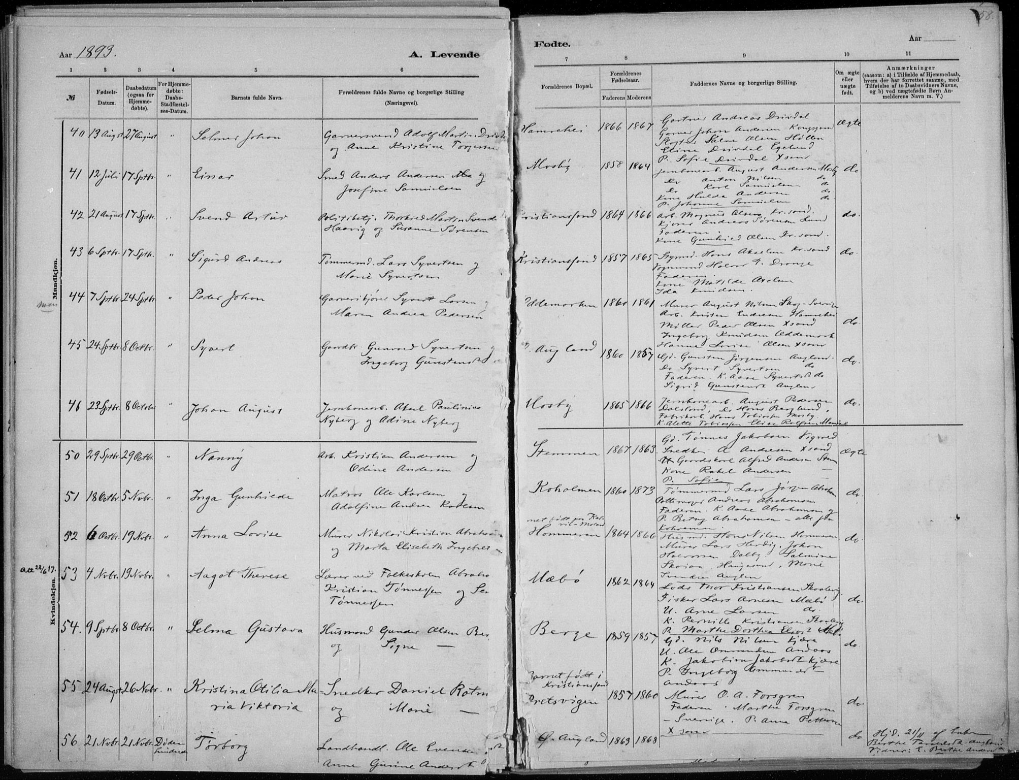 Oddernes sokneprestkontor, SAK/1111-0033/F/Fa/Faa/L0009: Parish register (official) no. A 9, 1884-1896, p. 58