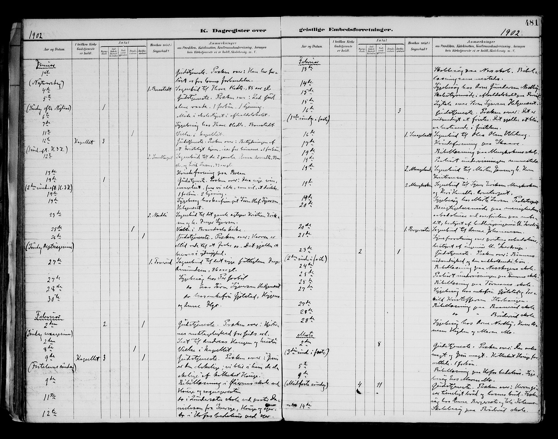 Brandval prestekontor, AV/SAH-PREST-034/H/Ha/Haa/L0003: Parish register (official) no. 3, 1894-1909, p. 481